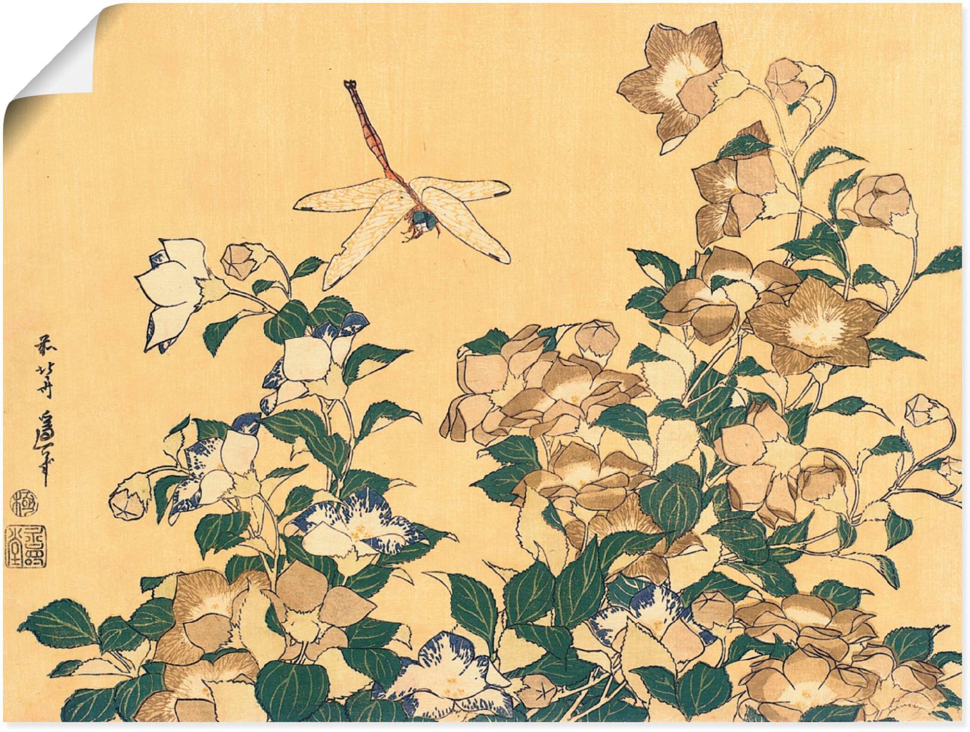 Artland Wandbild »Chinesische Glockenblume und Libelle«, Blumen, (1 St.) von Artland