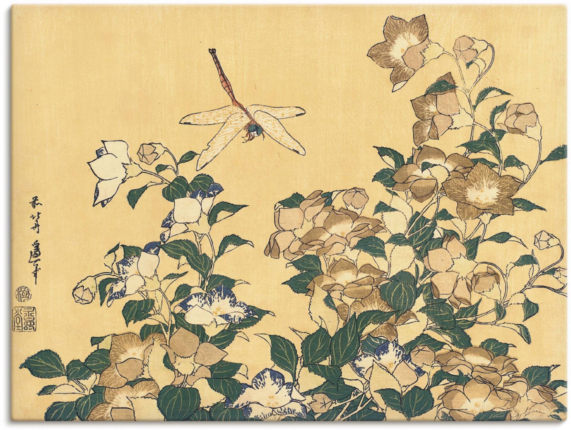 Artland Wandbild »Chinesische Glockenblume und Libelle«, Blumen, (1 St.) von Artland