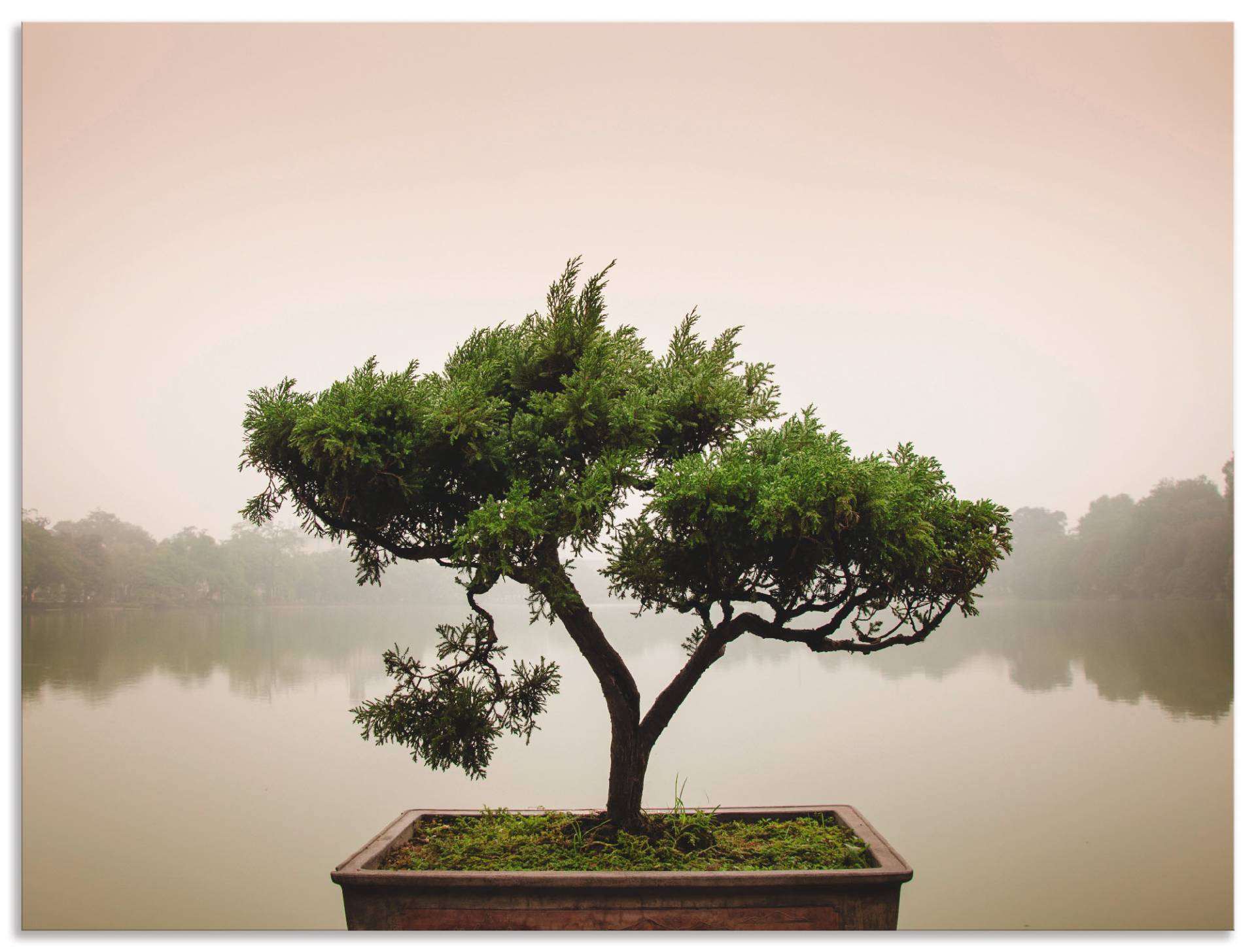 Artland Wandbild »Chinesischer Bonsaibaum«, Bäume, (1 St.) von Artland