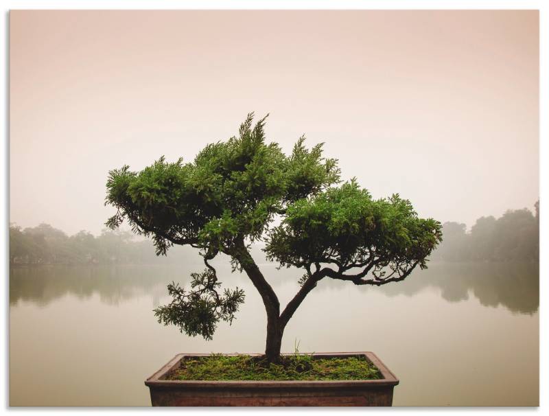 Artland Wandbild »Chinesischer Bonsaibaum«, Bäume, (1 St.) von Artland