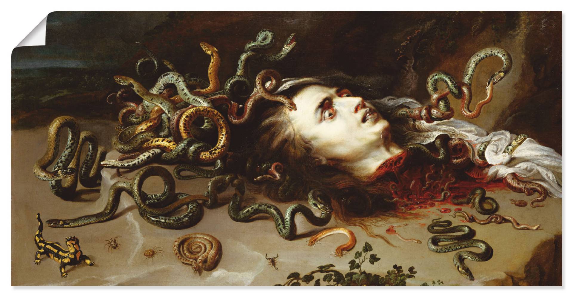 Artland Wandbild »Das Haupt der Medusa«, klassische Fantasie, (1 St.) von Artland