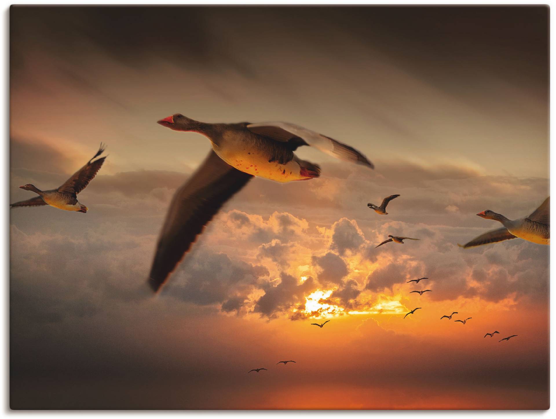 Artland Wandbild »Der Flug der Wildgänse...«, Vögel, (1 St.) von Artland