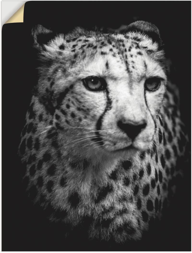 Artland Wandbild »Der Gepard«, Wildtiere, (1 St.) von Artland