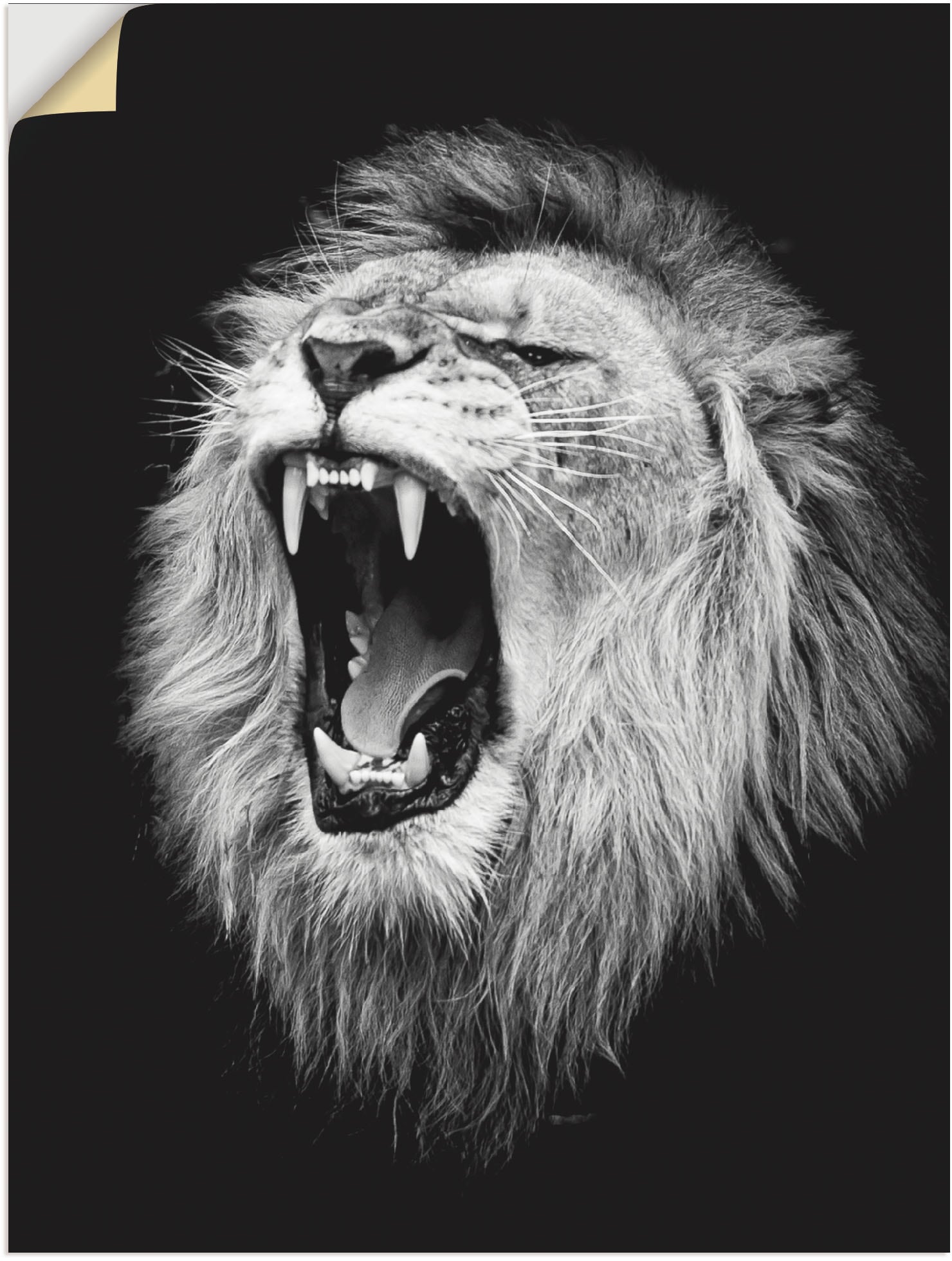 Artland Wandbild »Der Löwe«, Wildtiere, (1 St.), als Alubild, Outdoorbild, Leinwandbild, Poster, Wandaufkleber von Artland