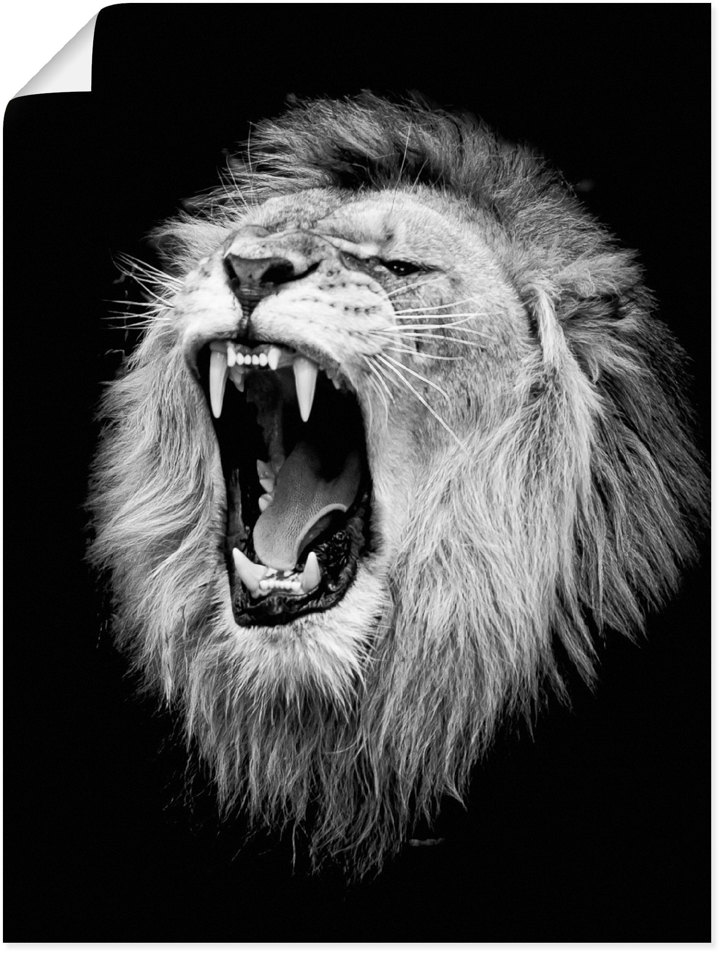Artland Wandbild »Der Löwe«, Wildtiere, (1 St.) von Artland