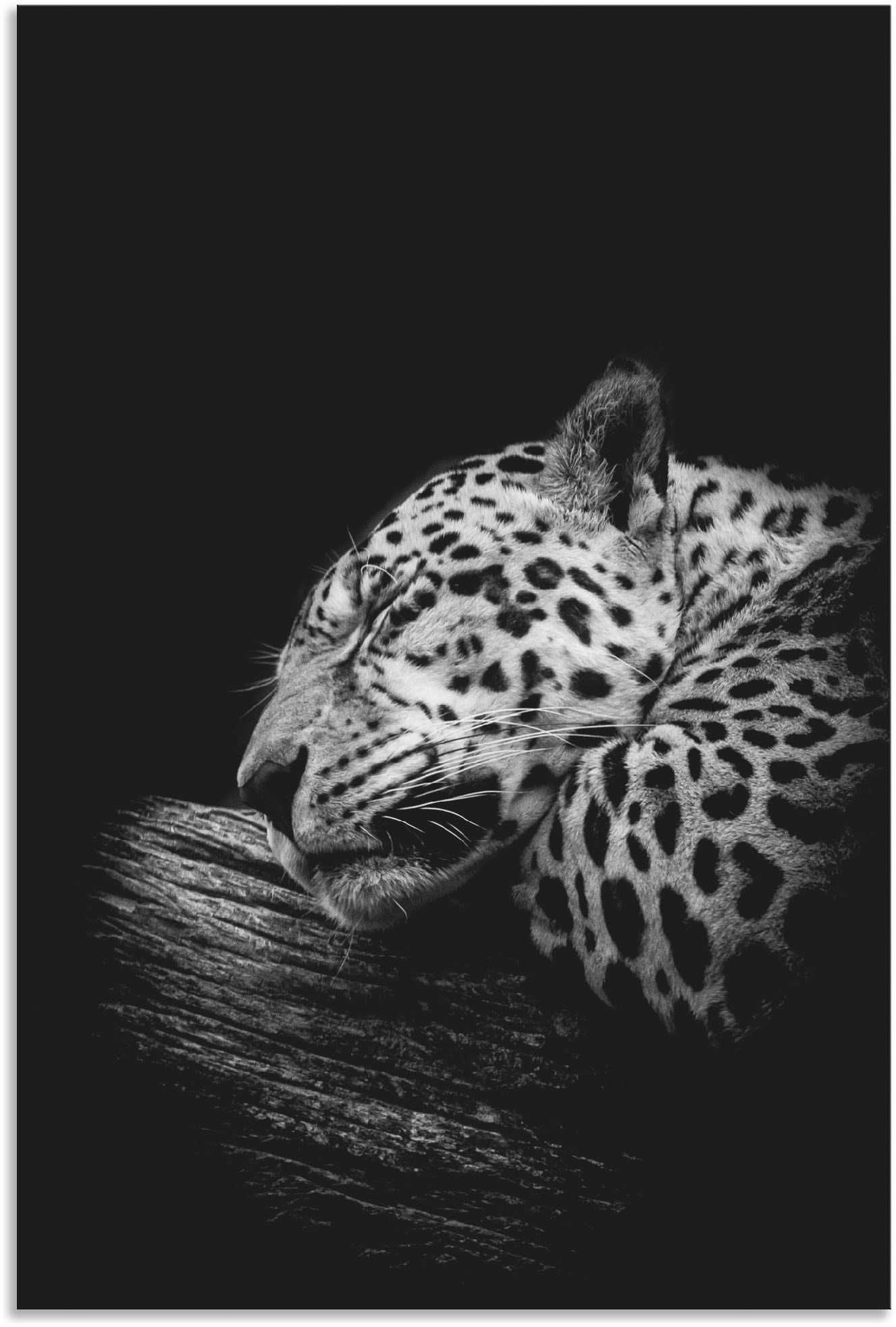 Artland Wandbild »Der schlafende Jaguar«, Wildtiere, (1 St.), als Alubild, Outdoorbild, Leinwandbild, Poster in verschied. Grössen von Artland