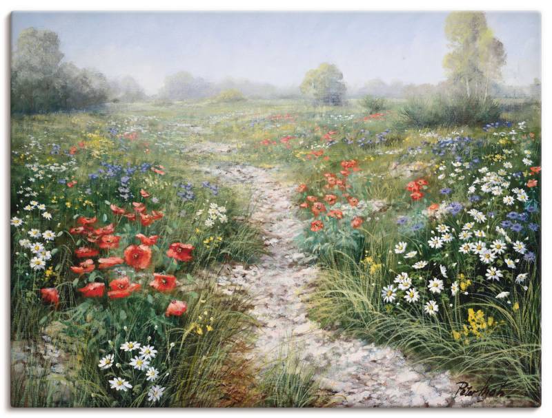Artland Wandbild »Dichte der Natur«, Blumenwiese, (1 St.) von Artland