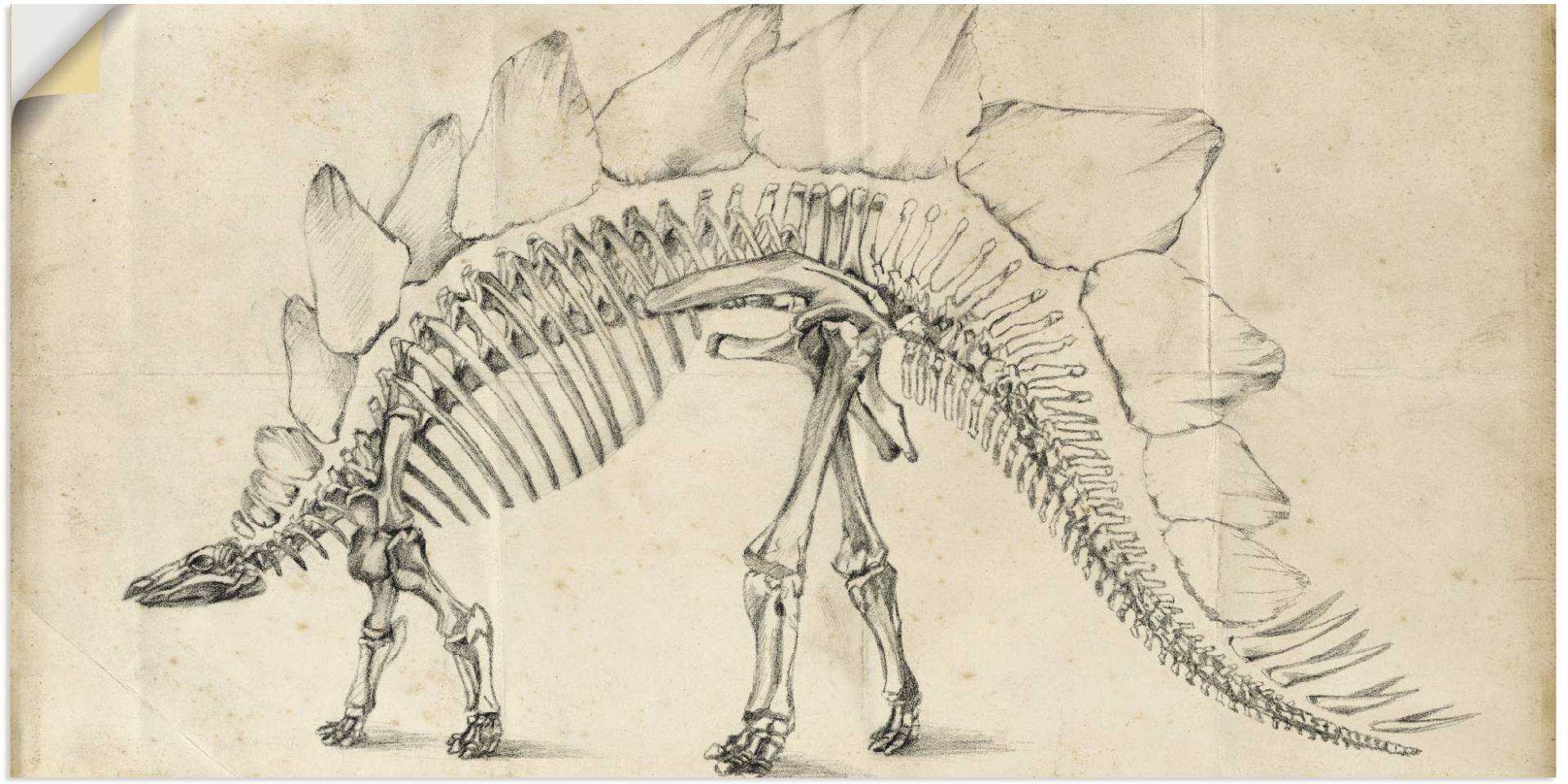 Artland Wandbild »Dinosaurier Lehre III«, Dinosaurier, (1 St.) von Artland