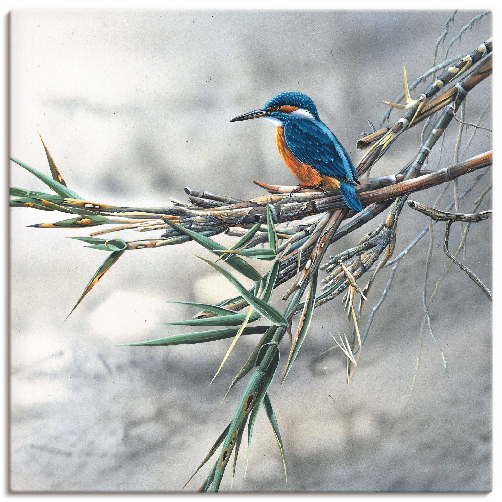 Artland Wandbild »Eisvogel I«, Vögel, (1 St.) von Artland