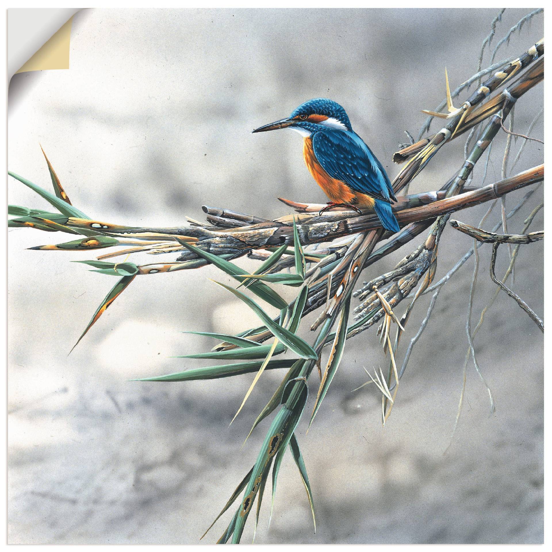 Artland Wandbild »Eisvogel I«, Vögel, (1 St.) von Artland