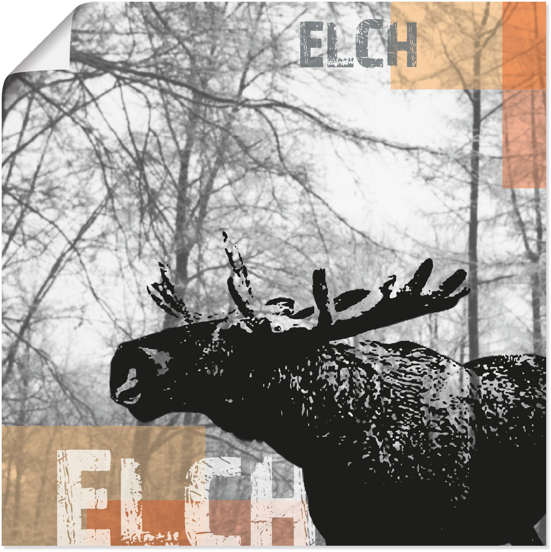 Artland Poster »Elch«, Wildtiere, (1 St.), als Alubild, Leinwandbild, Wandaufkleber oder Poster in versch. Grössen von Artland