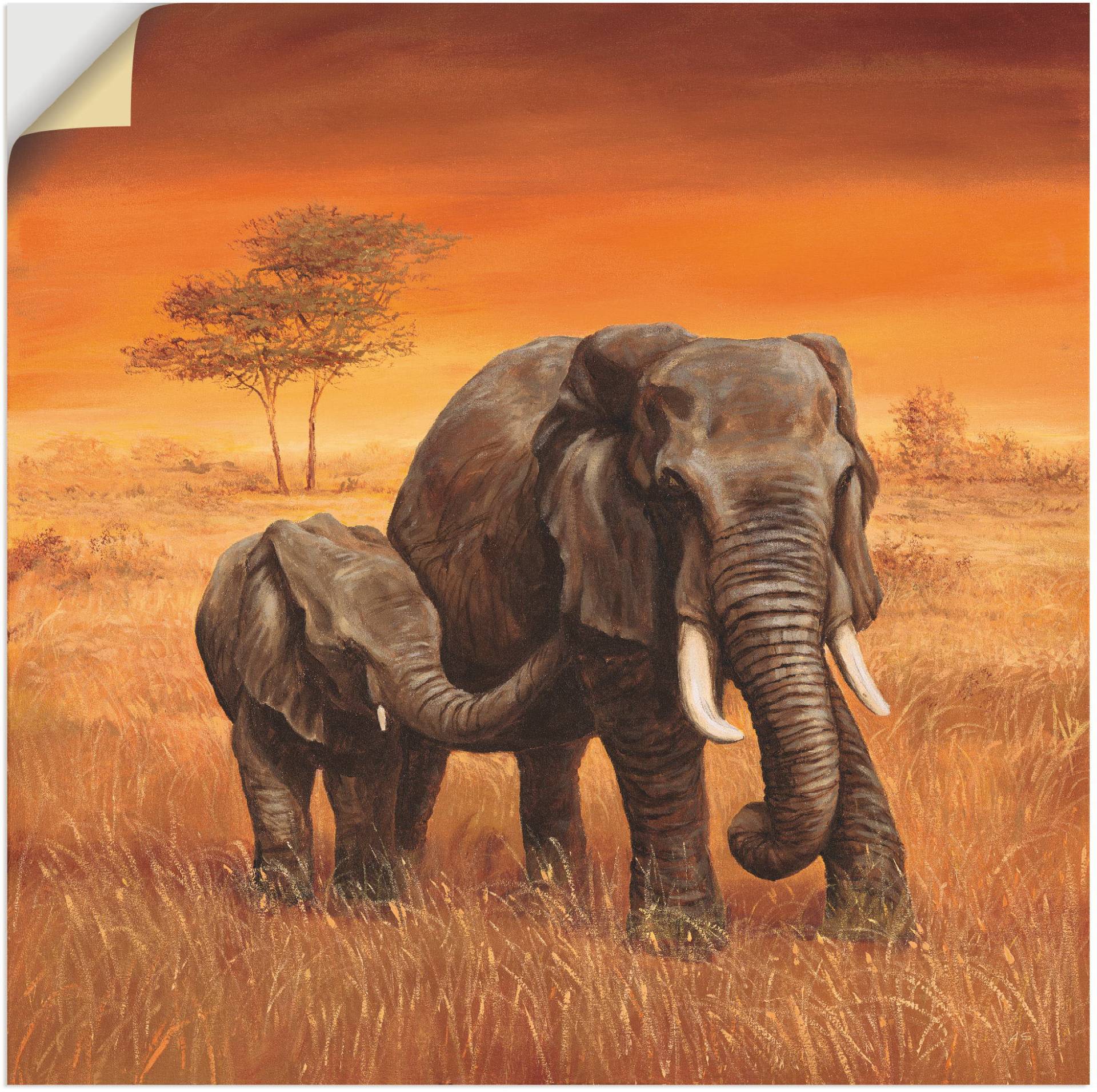 Artland Wandbild »Elefanten II«, Wildtiere, (1 St.), als Alubild, Outdoorbild, Leinwandbild, Poster, Wandaufkleber Artland Wandbild »Elefanten II«, Wildtiere, (1 St.), als Alubild, Outdoorbild, Leinwandbild, Poster, Wandaufkleber von Artland