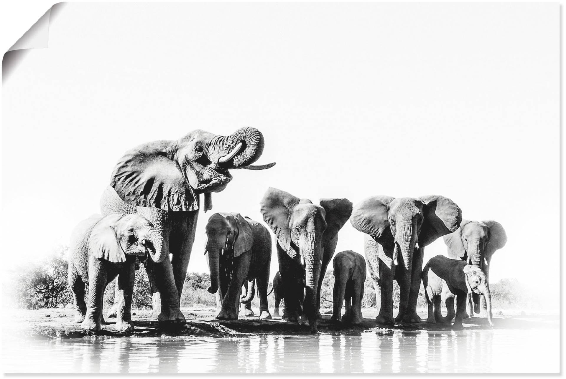 Artland Wandbild »Elefanten am Wasserloch«, Elefanten Bilder, (1 St.), als Alubild, Leinwandbild, Wandaufkleber oder Poster in versch. Grössen von Artland