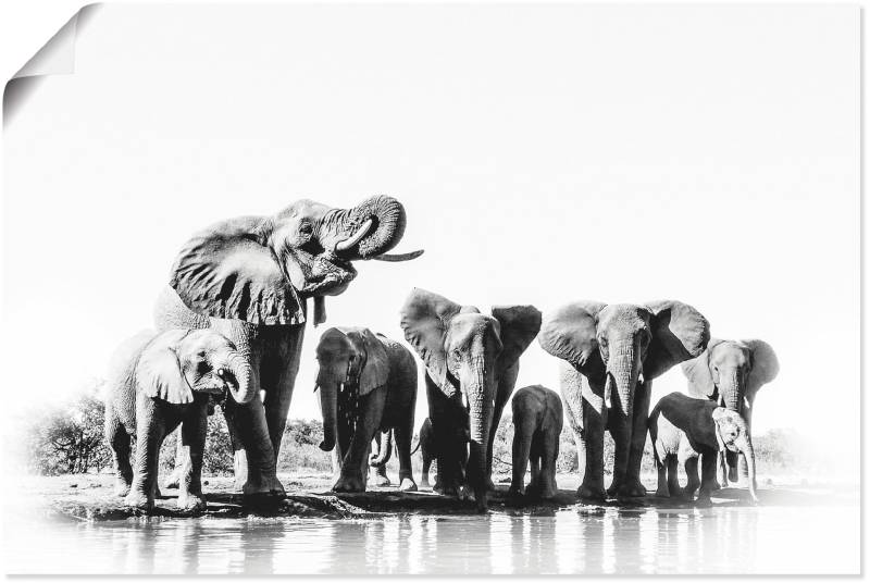 Artland Poster »Elefanten am Wasserloch«, Elefanten Bilder, (1 St.) von Artland