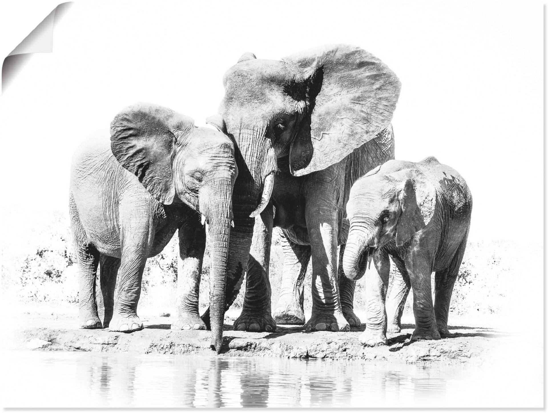 Artland Wandbild »Elefantenmutter mit Kindern«, Elefanten Bilder, (1 St.) von Artland