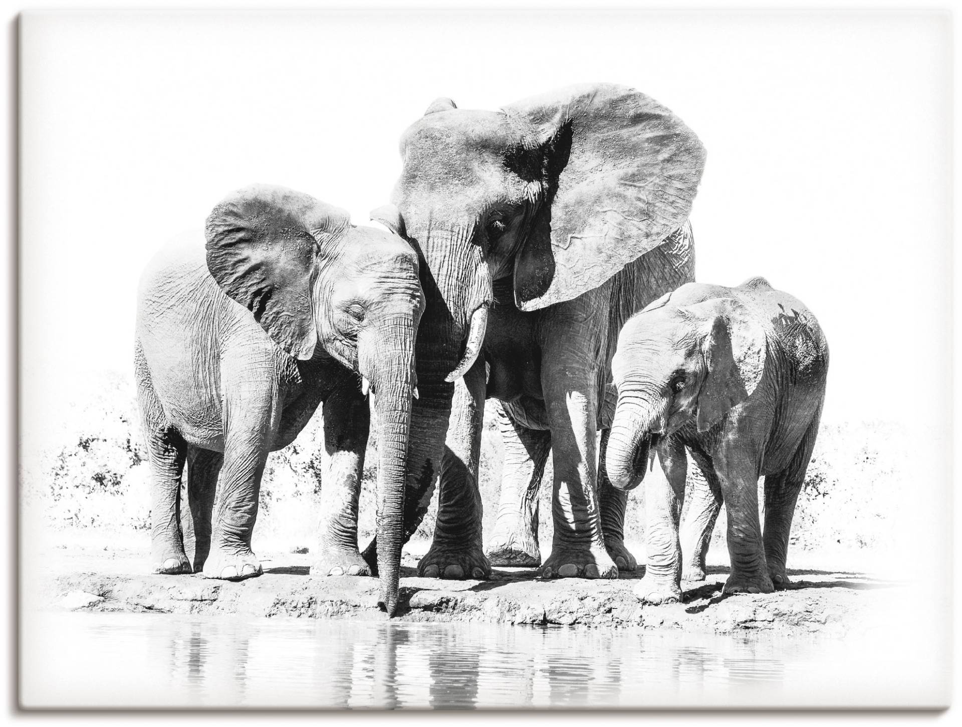 Artland Wandbild »Elefantenmutter mit Kindern«, Elefanten Bilder, (1 St.) von Artland