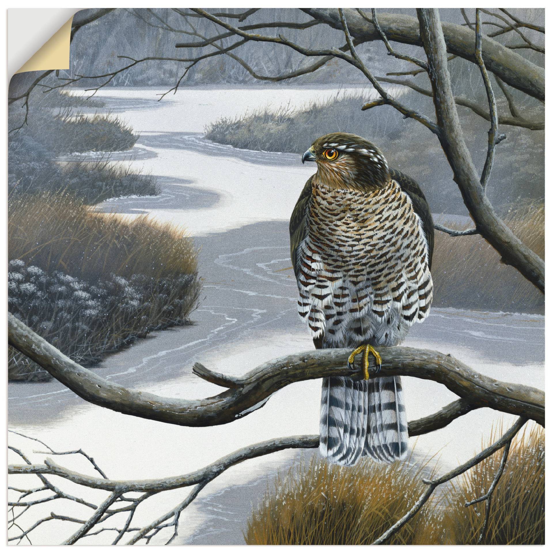 Artland Wandbild »Falke im Baum«, Vögel, (1 St.), als Leinwandbild, Wandaufkleber in verschied. Grössen Artland Wandbild »Falke im Baum«, Vögel, (1 St.), als Leinwandbild, Wandaufkleber in verschied. Grössen von Artland