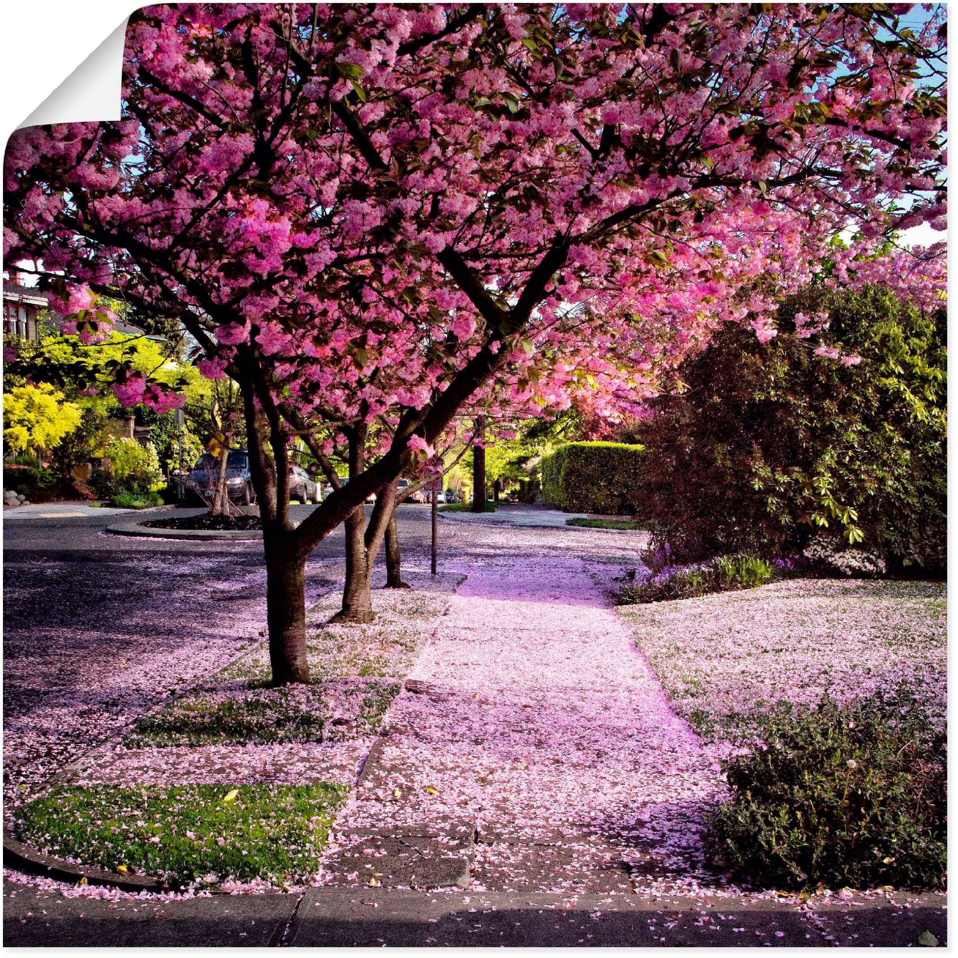 Artland Wandbild »Fallende Blütenblätter«, Bäume, (1 St.) von Artland