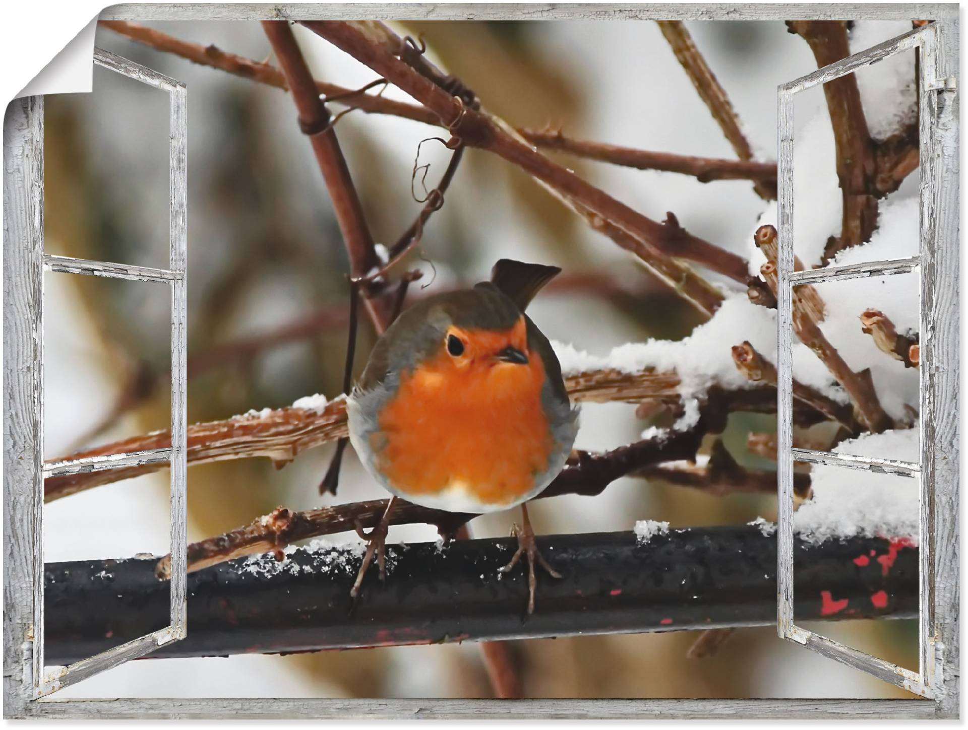 Artland Wandbild »Fensterbild - Rotkehlchen«, Vögel, (1 St.) von Artland