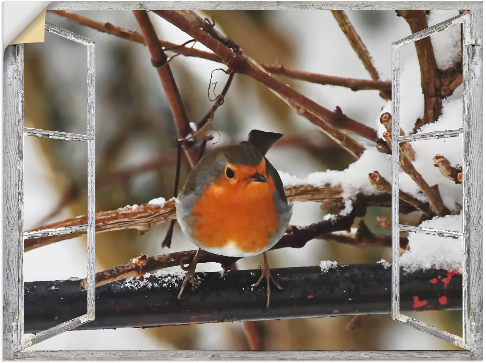 Artland Wandbild »Fensterbild - Rotkehlchen«, Vögel, (1 St.) von Artland