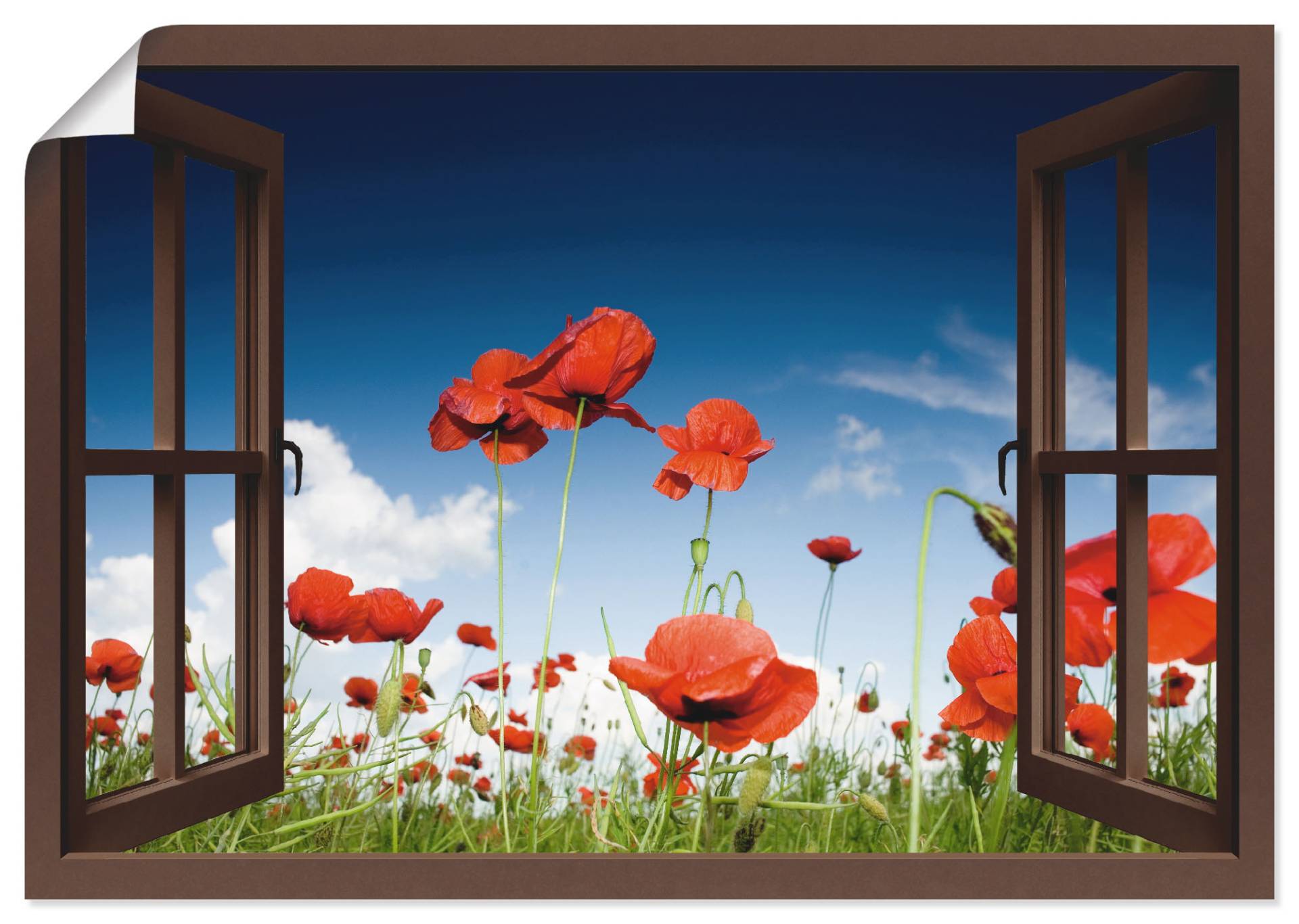 Artland Poster »Fensterblick Feld mit Mohnblumen, braun«, Fensterblick, (1 St.) von Artland