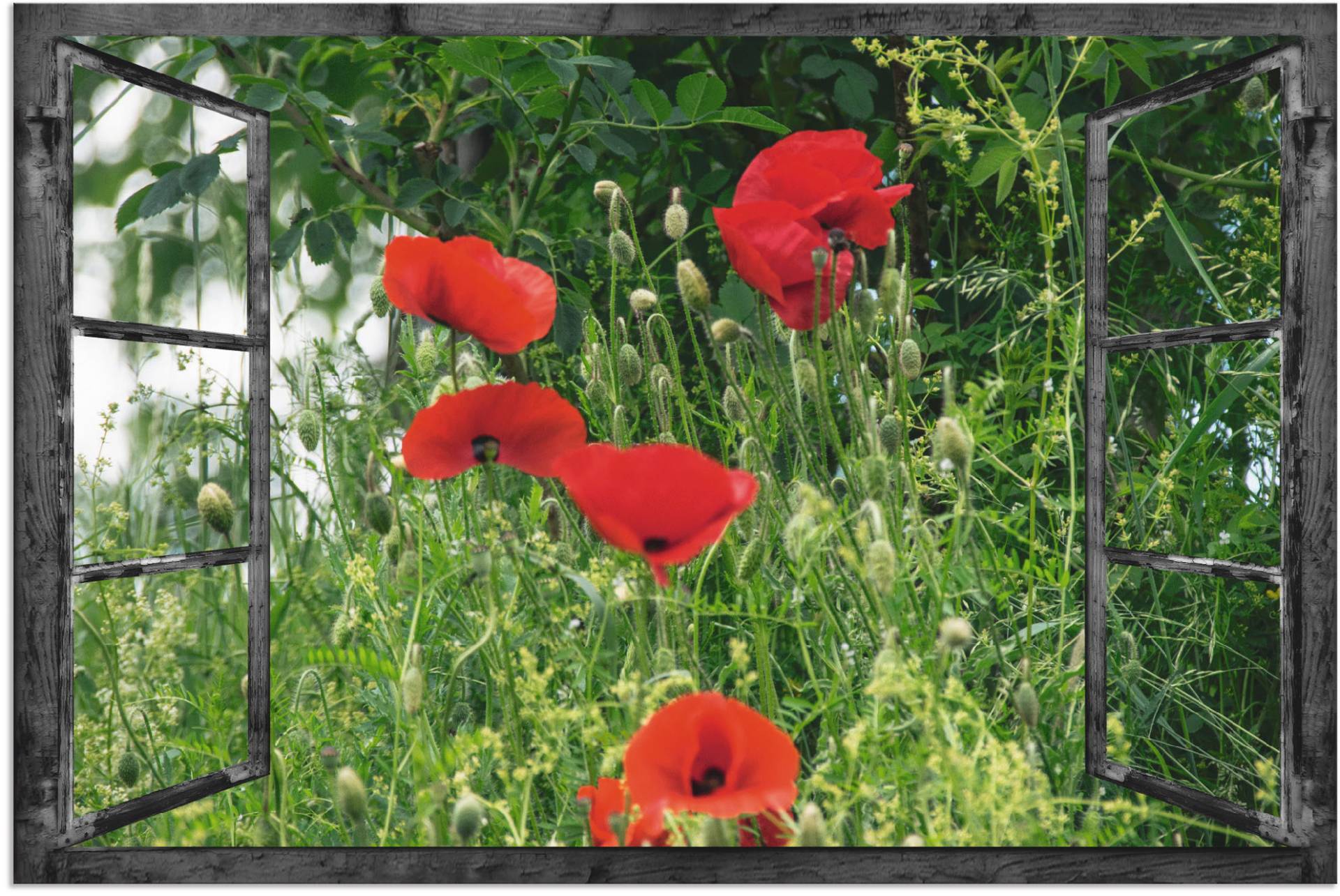 Artland Wandbild »Fensterblick - Klatschmohn«, Fensterblick, (1 St.) von Artland