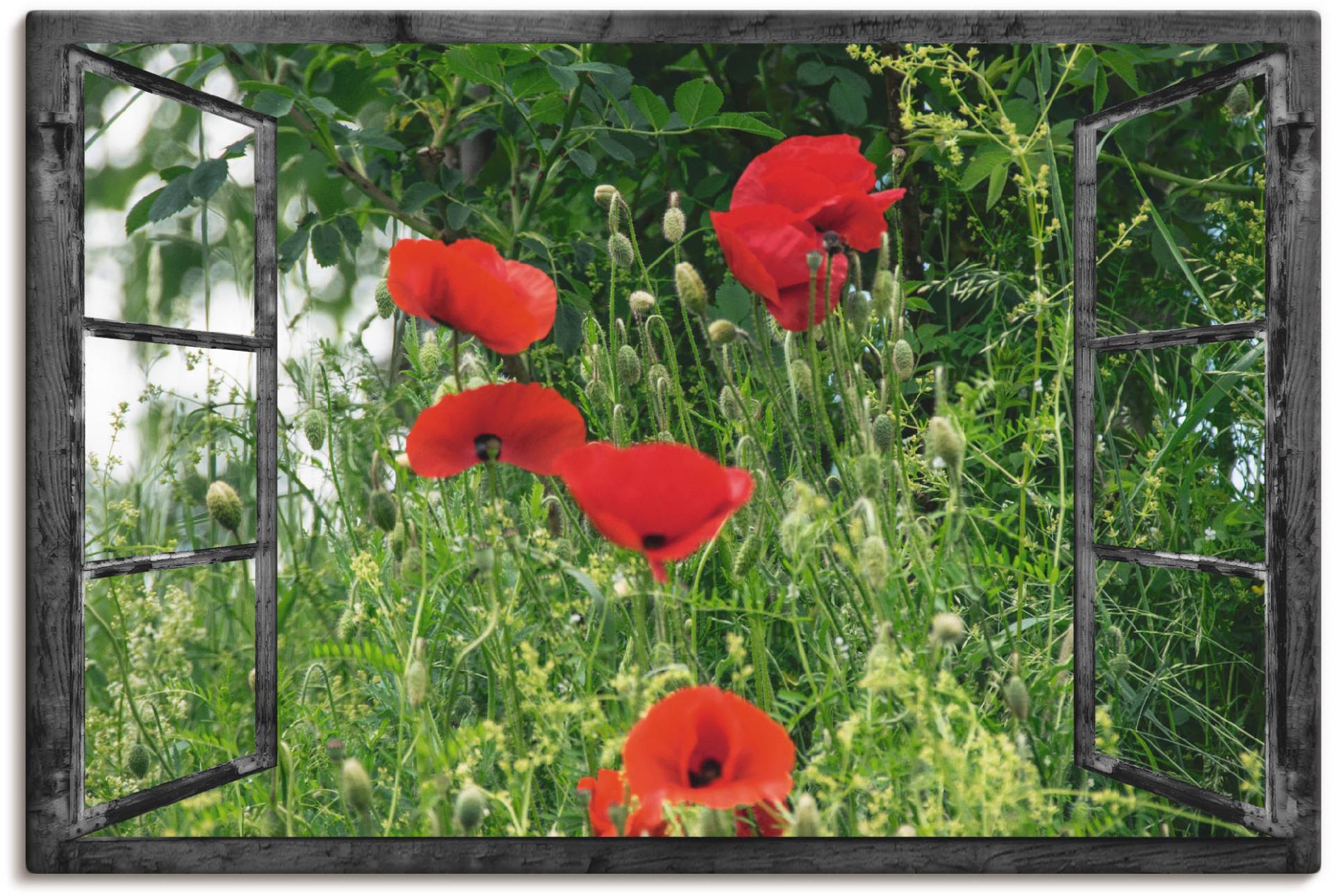 Artland Wandbild »Fensterblick - Klatschmohn«, Fensterblick, (1 St.) von Artland