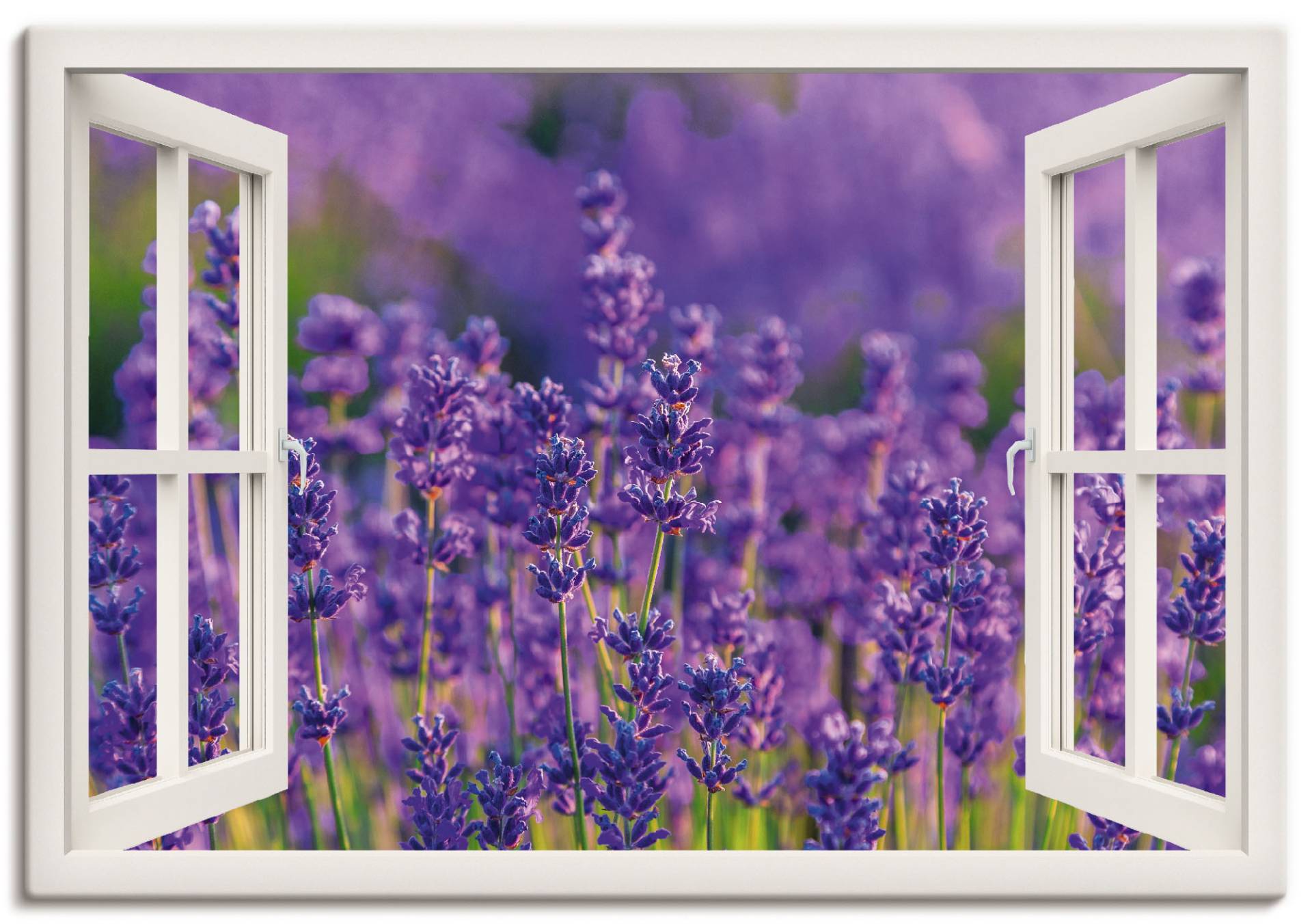 Artland Wandbild »Fensterblick Lavendelfeld in Tihany«, Blumenwiese, (1 St.) von Artland