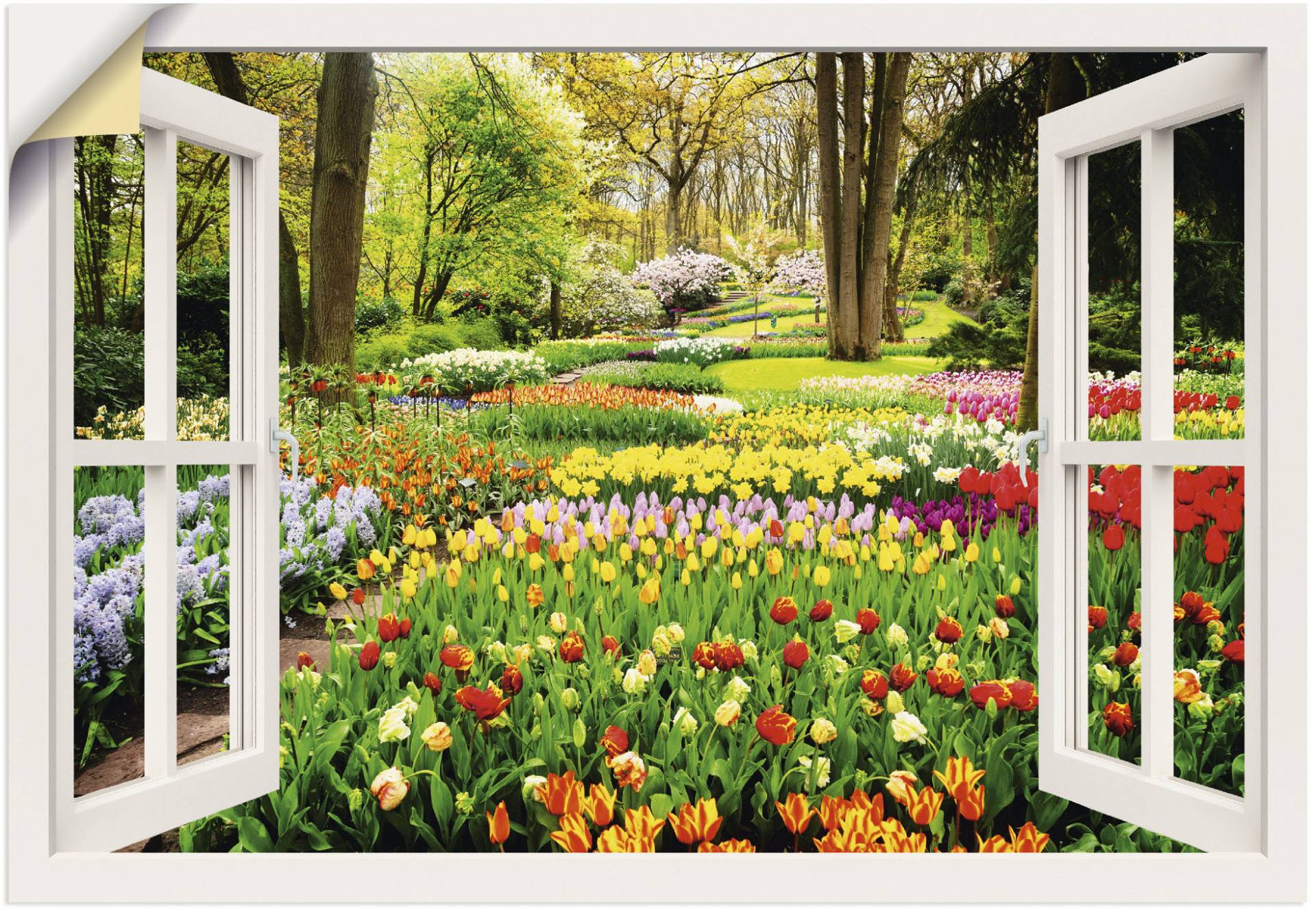 Artland Wandbild »Fensterblick Tulpen Garten Frühling«, Fensterblick, (1 St.), als Alubild, Outdoorbild, Leinwandbild, Poster, Wandaufkleber von Artland