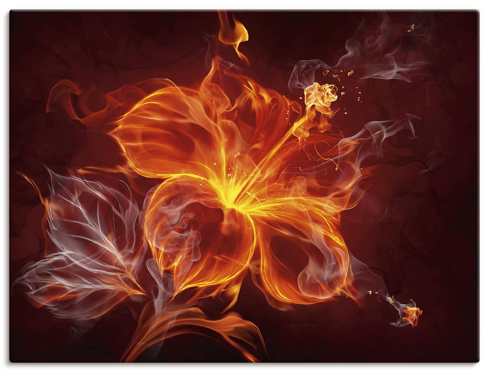 Artland Wandbild »Feuerblume«, Blumen, (1 St.), als Leinwandbild, Poster, Wandaufkleber in verschied. Grössen Artland Wandbild »Feuerblume«, Blumen, (1 St.), als Leinwandbild, Poster, Wandaufkleber in verschied. Grössen von Artland