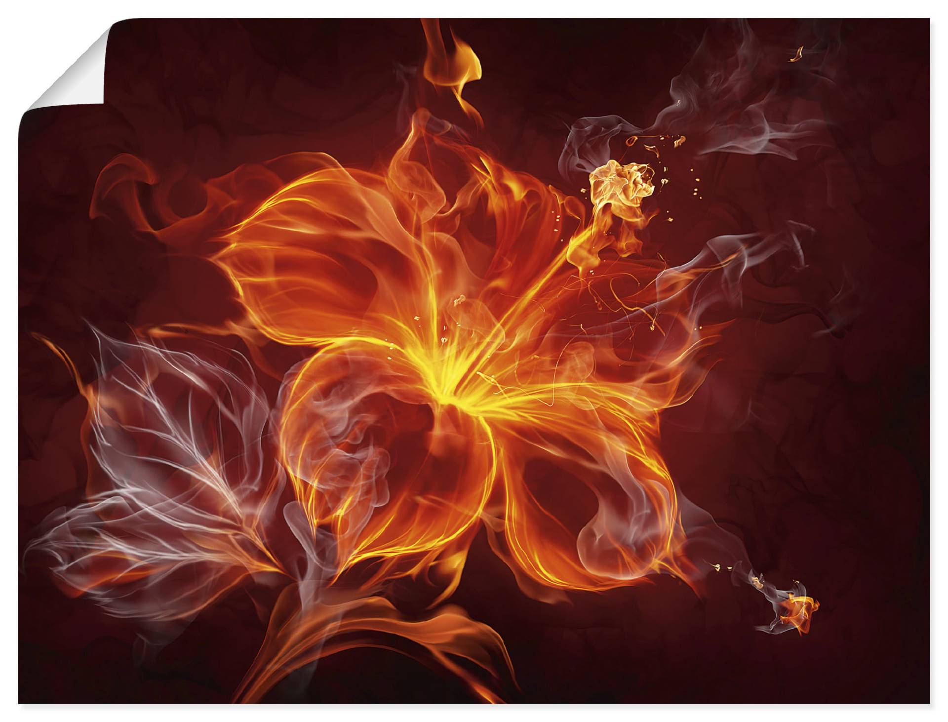 Artland Wandbild »Feuerblume«, Blumen, (1 St.), als Leinwandbild, Poster, Wandaufkleber in verschied. Grössen Artland Wandbild »Feuerblume«, Blumen, (1 St.), als Leinwandbild, Poster, Wandaufkleber in verschied. Grössen von Artland