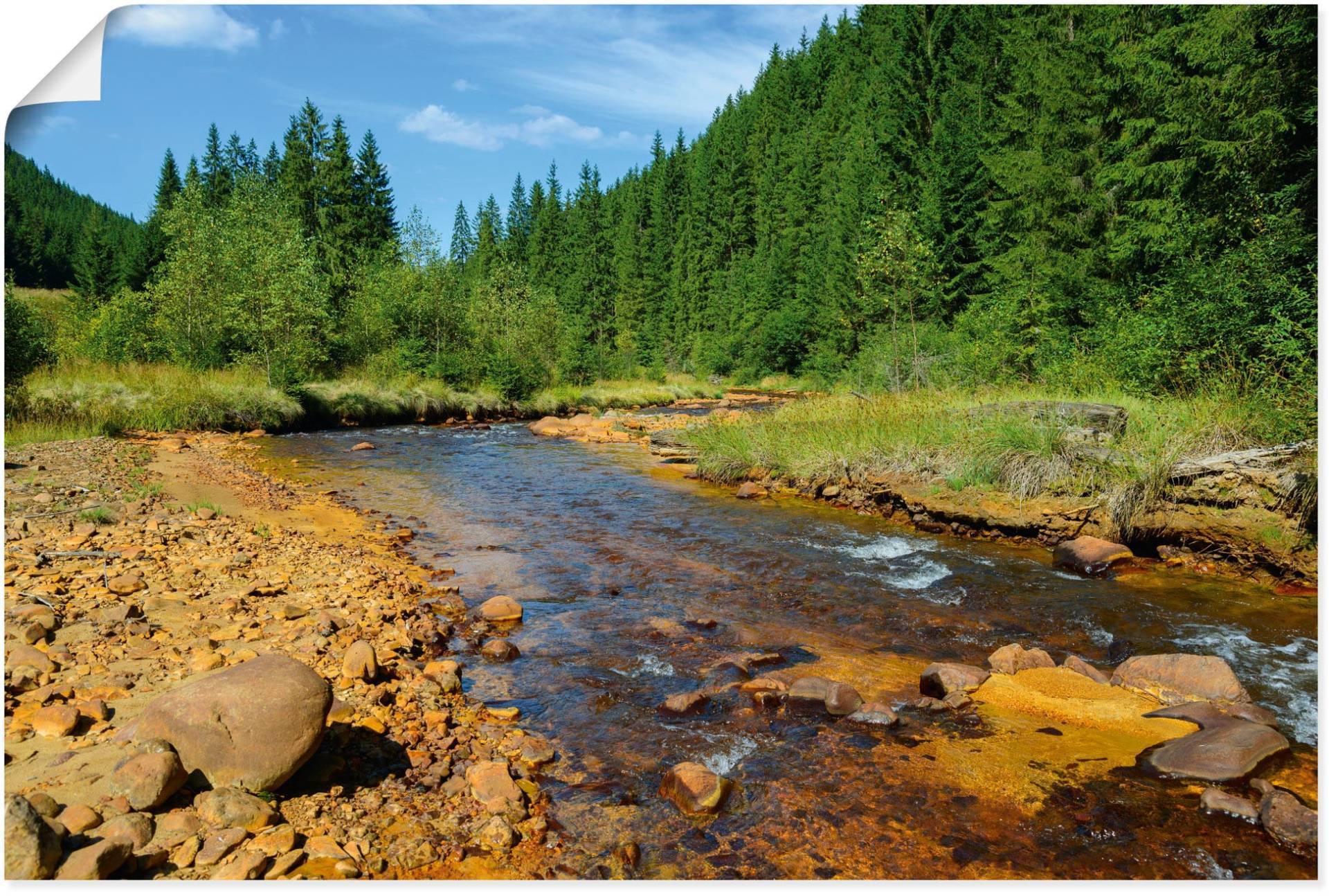 Artland Wandbild »Fluss Neagra, Caliman-Nationalpark«, Gewässer, (1 St.) von Artland