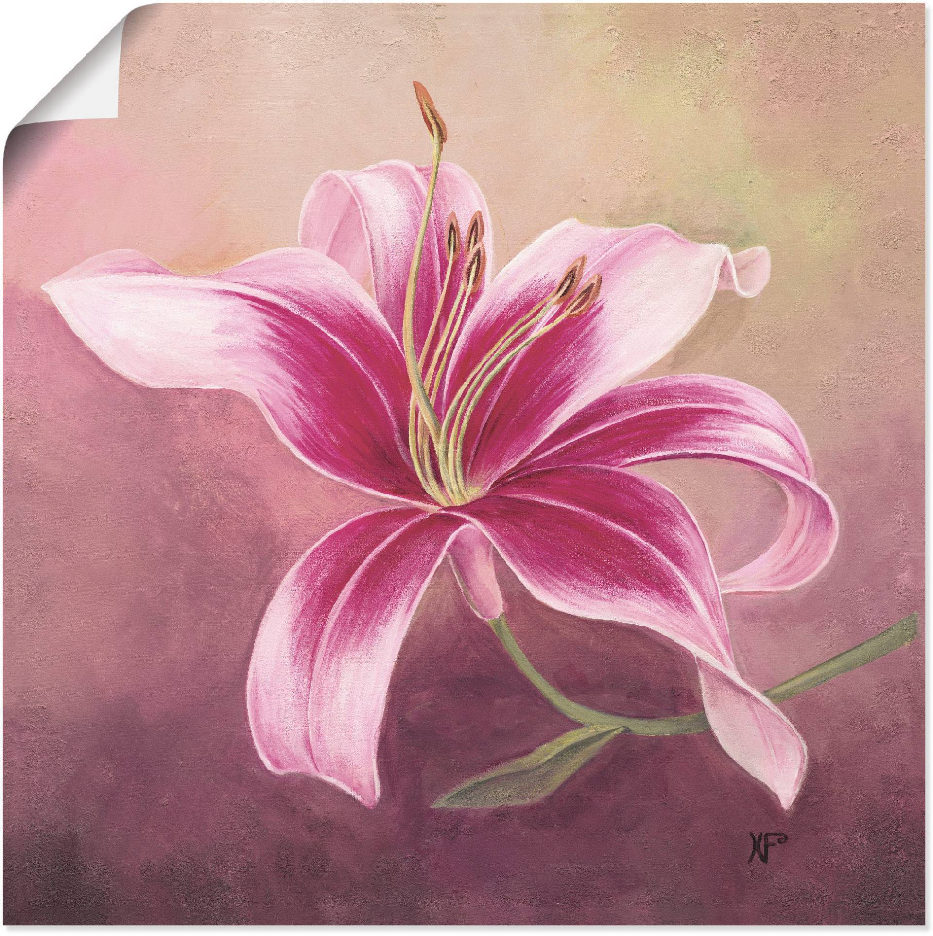 Artland Wandbild »Frühe Lilie«, Blumen, (1 St.), als Leinwandbild, Poster in verschied. Grössen Artland Wandbild »Frühe Lilie«, Blumen, (1 St.), als Leinwandbild, Poster in verschied. Grössen von Artland