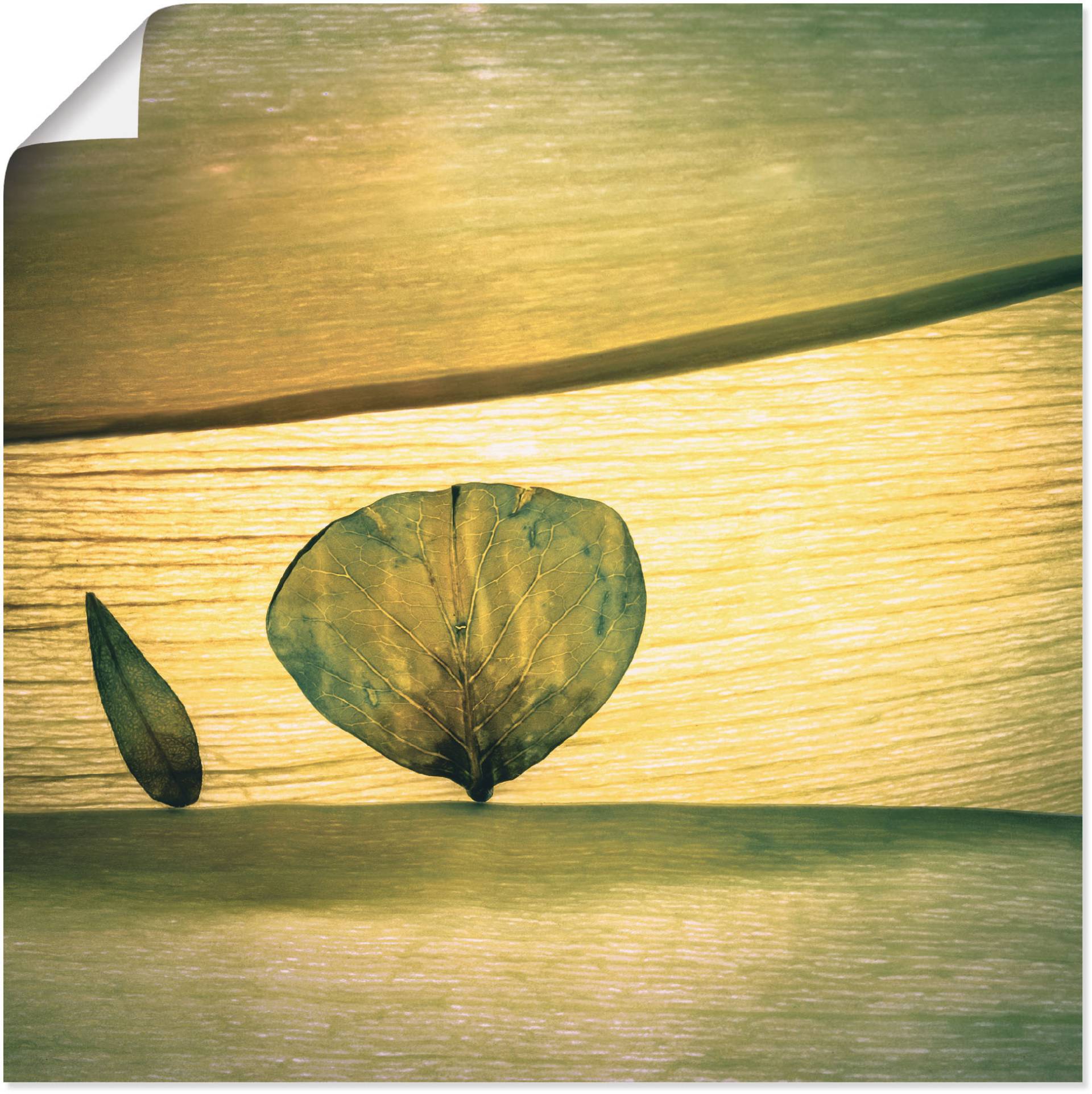 Artland Wandbild »Frühling?«, Blätter, (1 St.), als Leinwandbild, Poster, Wandaufkleber in verschied. Grössen Artland Wandbild »Frühling?«, Blätter, (1 St.), als Leinwandbild, Poster, Wandaufkleber in verschied. Grössen von Artland