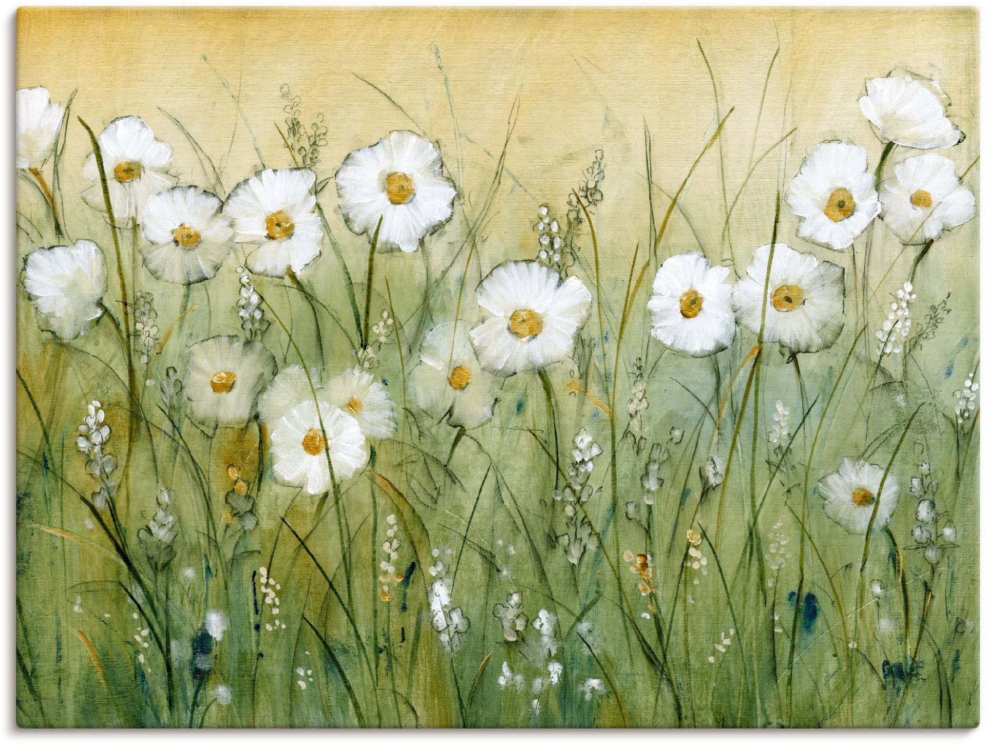 Artland Wandbild »Gänseblümchenfrühling II«, Blumen, (1 St.) von Artland