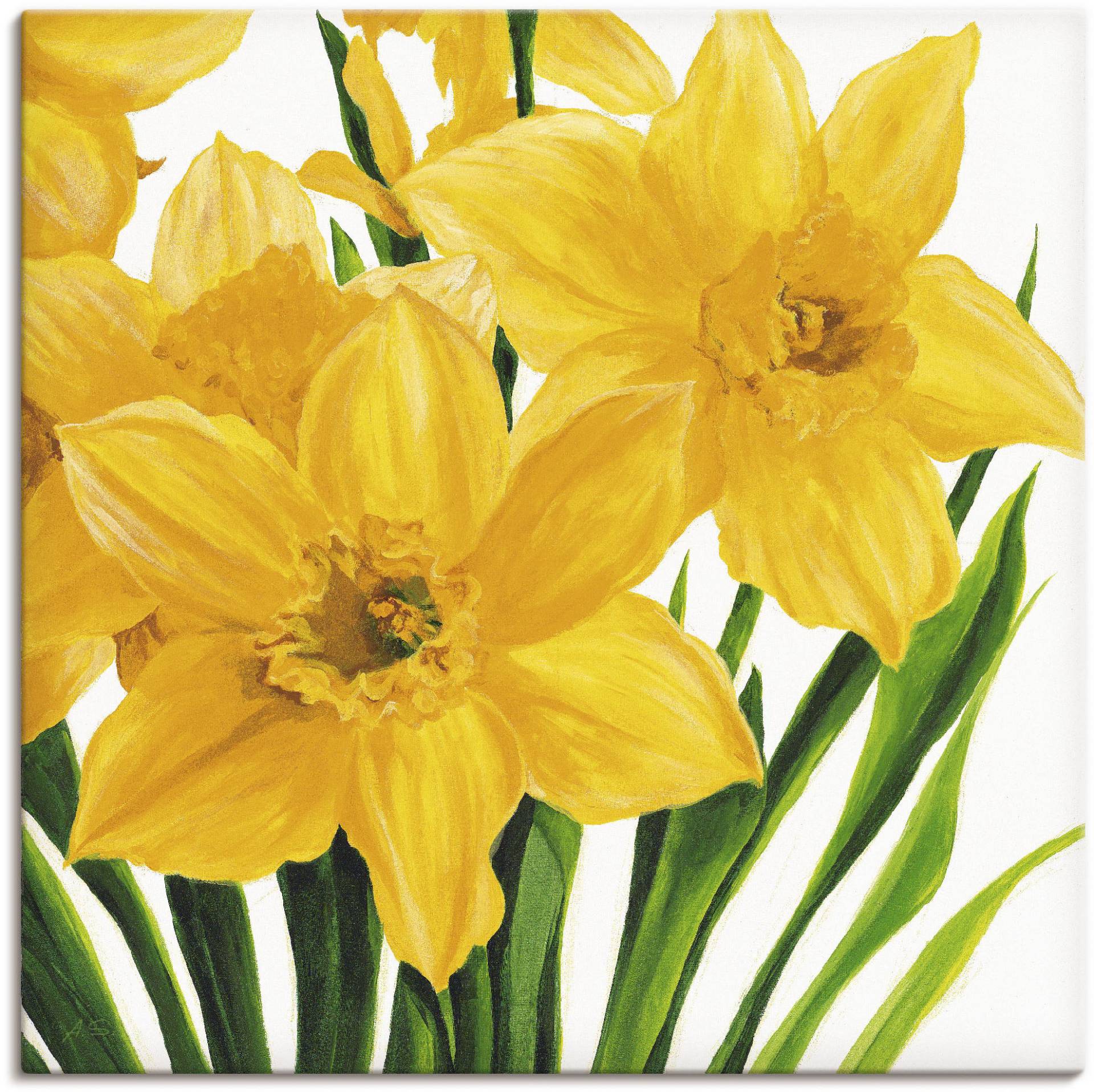 Artland Leinwandbild »Gelbe Narzissen«, Blumen, (1 St.) von Artland