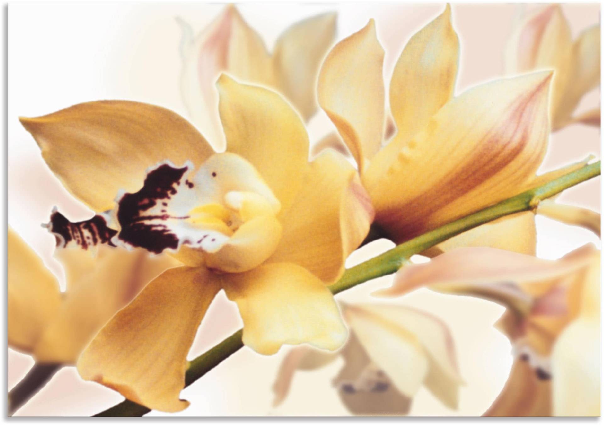 Artland Wandbild »Gelbe Orchidee«, Blumenbilder, (1 St.) von Artland