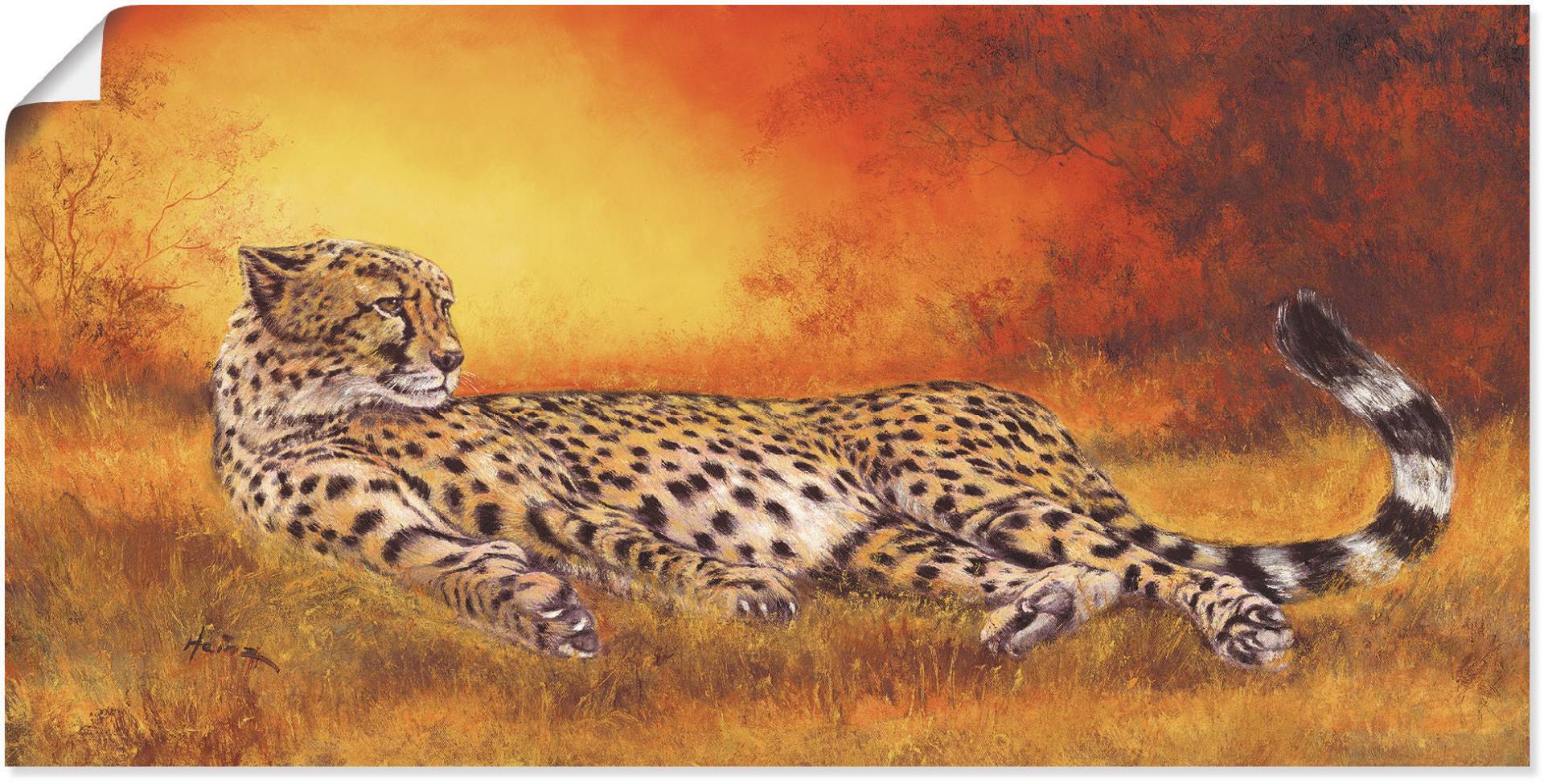 Artland Wandbild »Gepard«, Geparden Bilder, (1 St.), als Alubild, Outdoorbild, Leinwandbild, Poster, Wandaufkleber von Artland
