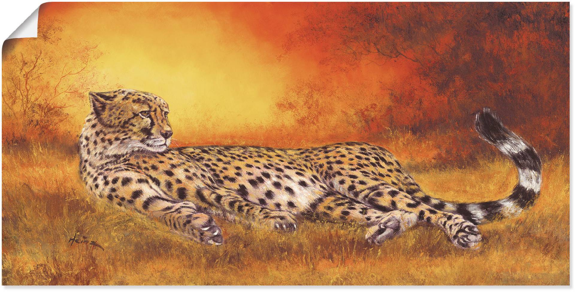 Artland Wandbild »Gepard«, Geparden Bilder, (1 St.) von Artland