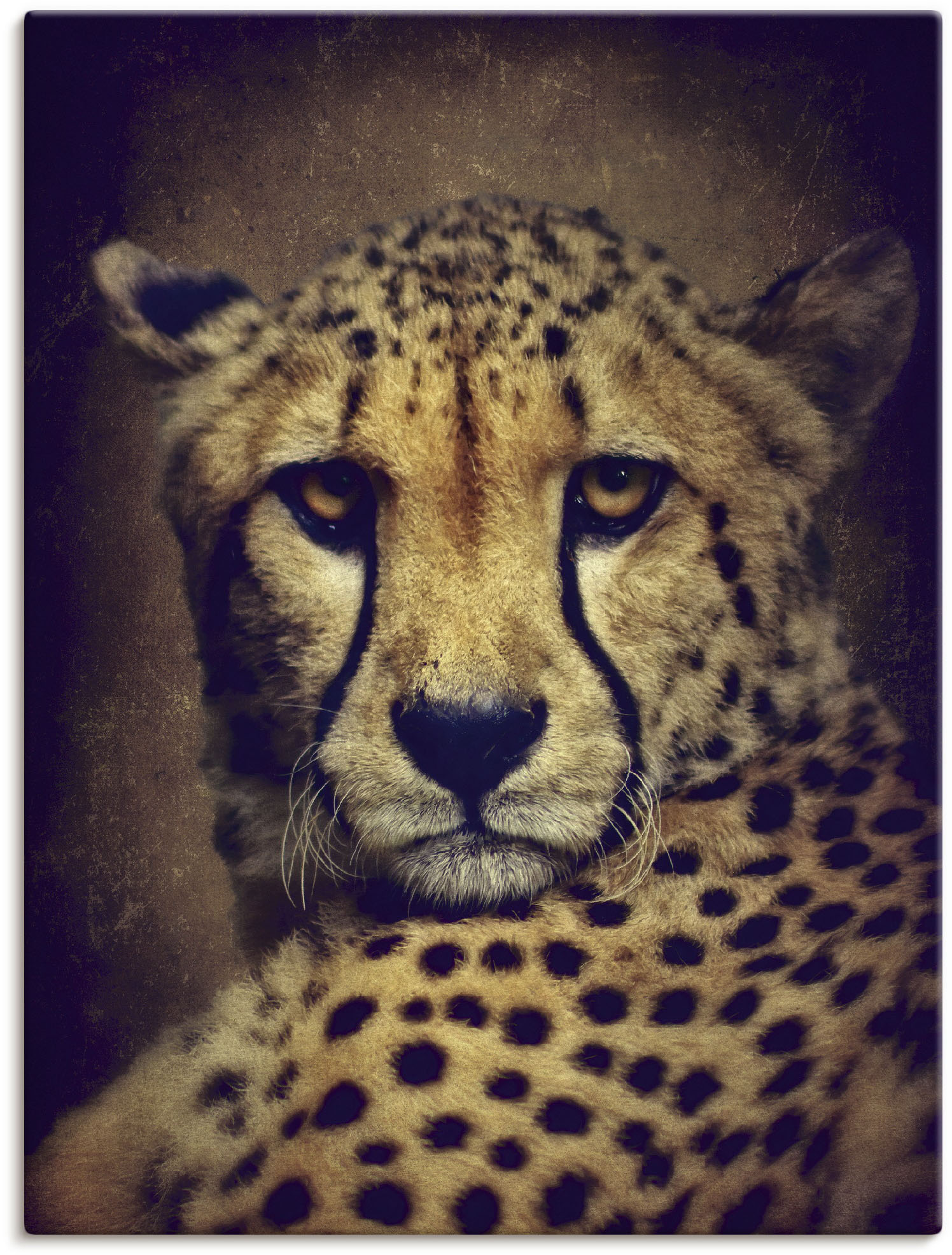 Artland Wandbild »Gepard«, Wildtiere, (1 St.), als Leinwandbild, Wandaufkleber in verschied. Grössen Artland Wandbild »Gepard«, Wildtiere, (1 St.), als Leinwandbild, Wandaufkleber in verschied. Grössen von Artland