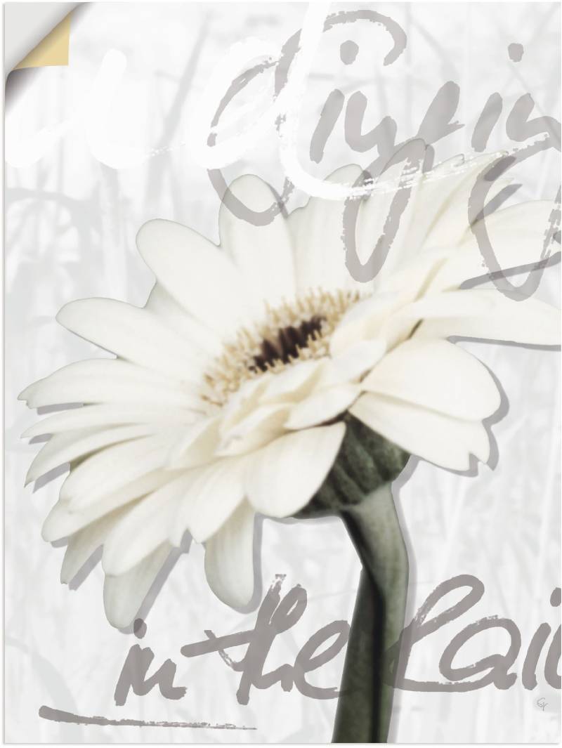 Artland Wandbild »Gerbera«, Blumenbilder, (1 St.) von Artland