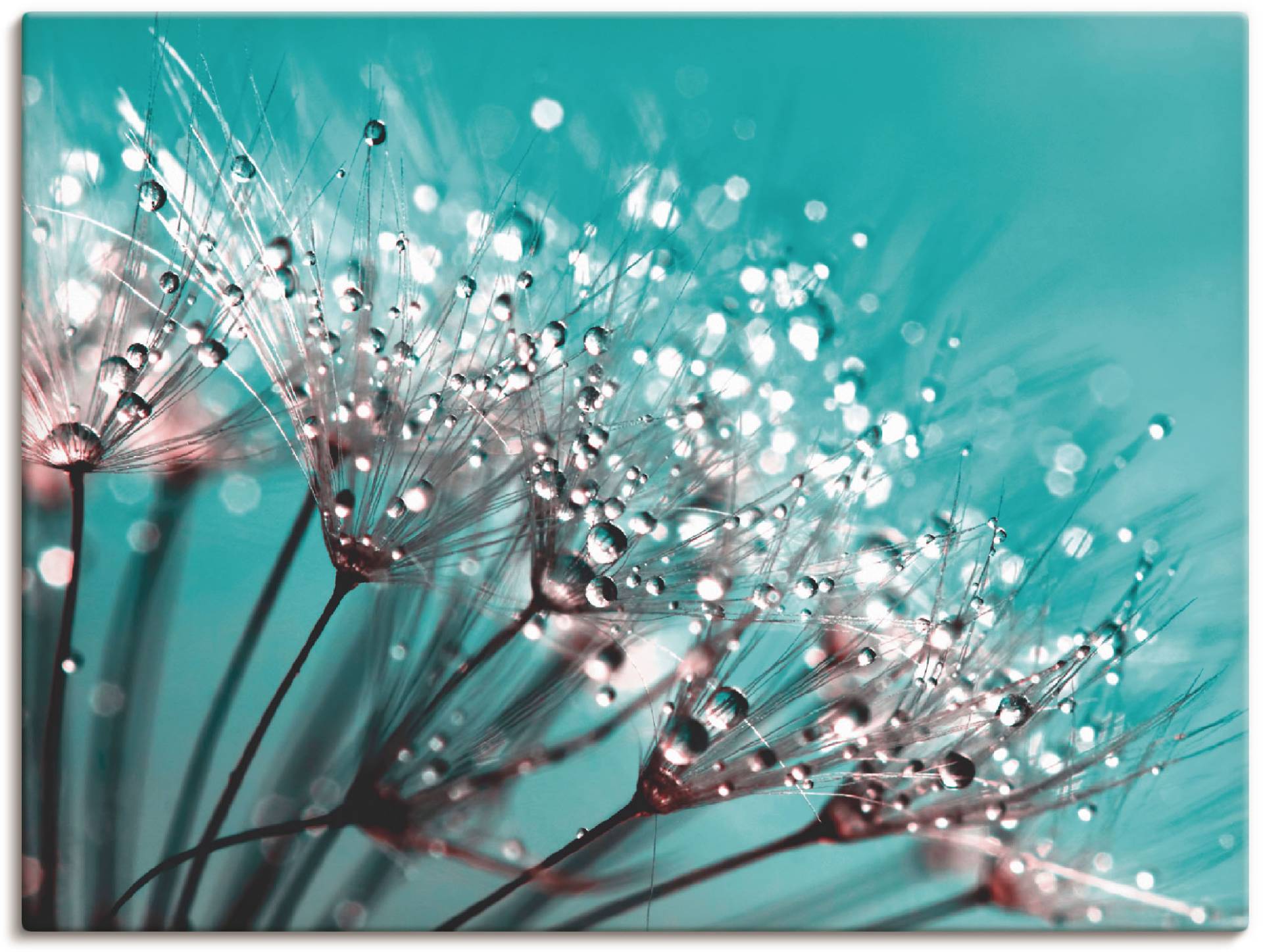 Artland Wandbild »Glitzernde Pusteblume I«, Blumen, (1 St.) von Artland