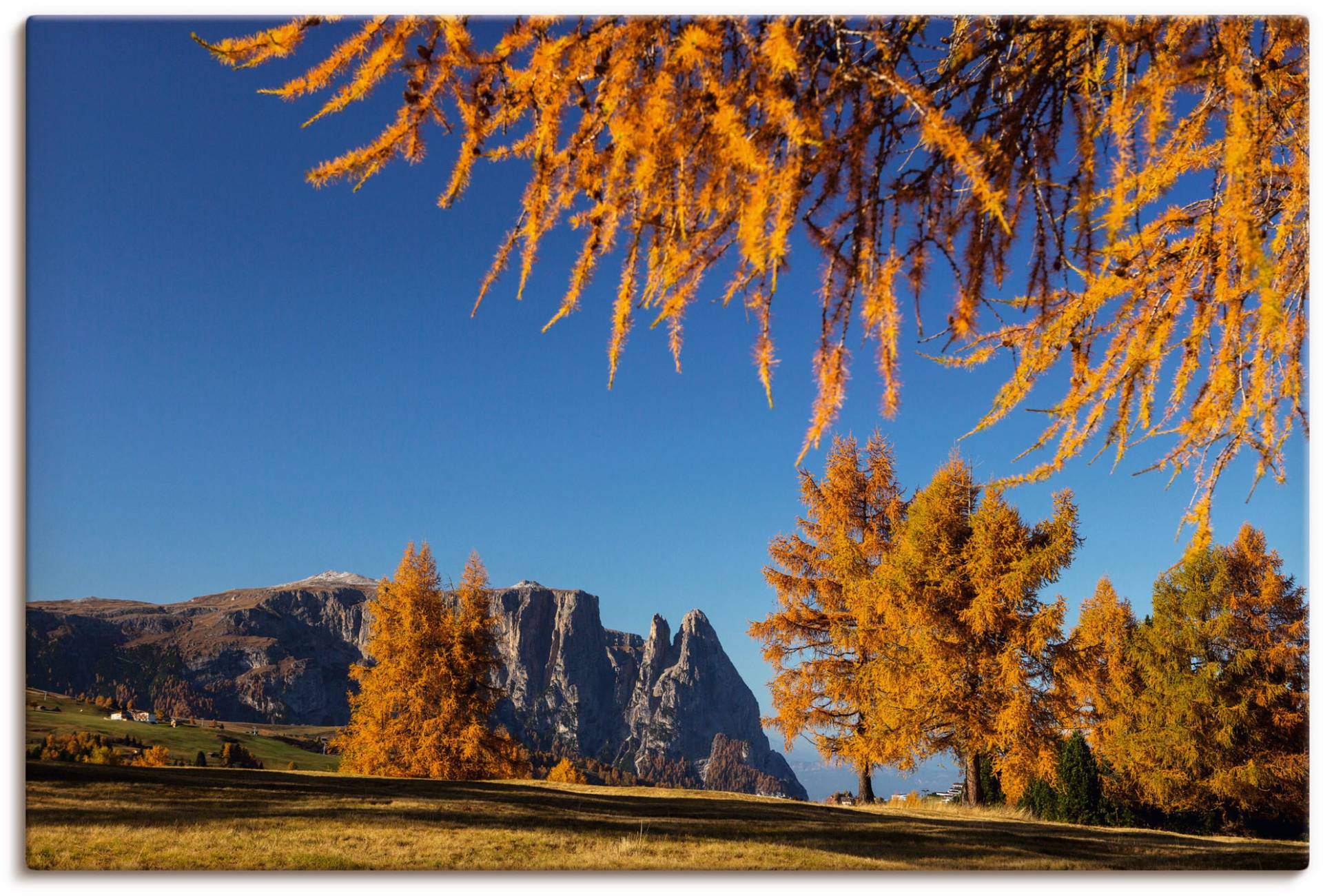 Artland Leinwandbild »Goldener Herbst auf der Seiser Alm«, Wiesen & Baumbilder, (1 St.), auf Keilrahmen gespannt von Artland