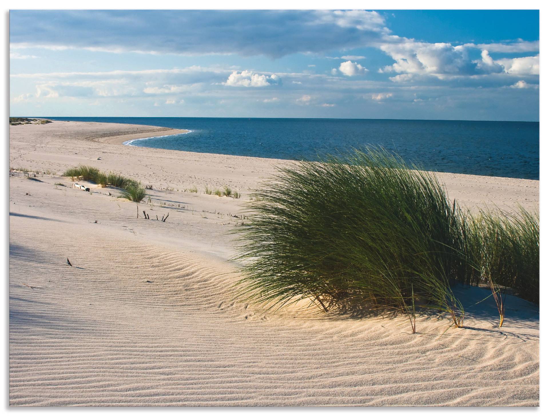 Artland Wandbild »Gras am Strand«, Strand, (1 St.) von Artland