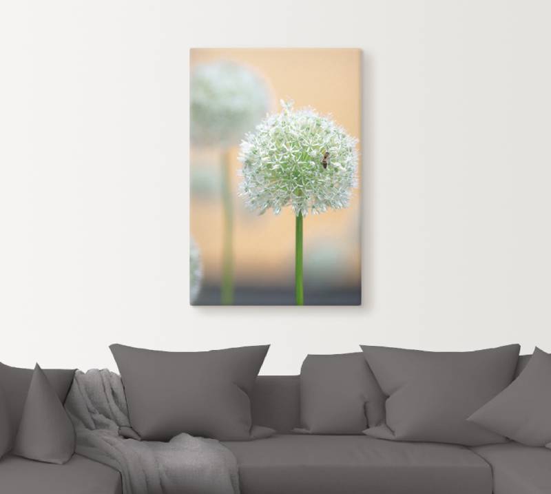 Artland Wandbild »Grosser Allium in Pastell«, Blumen, (1 St.), als Leinwandbild, Wandaufkleber in verschied. Grössen von Artland