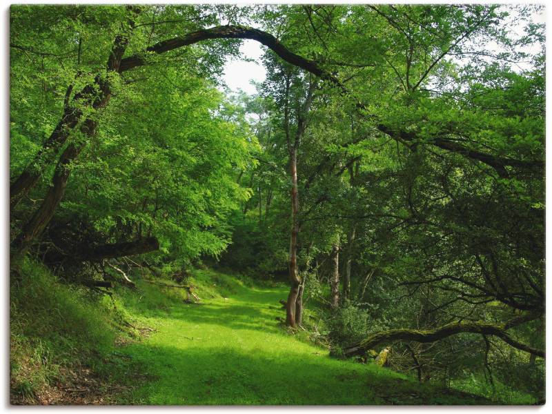 Artland Wandbild »Grüner Weg durch den Wald«, Wald, (1 St.) von Artland