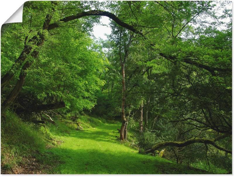 Artland Wandbild »Grüner Weg durch den Wald«, Wald, (1 St.) von Artland