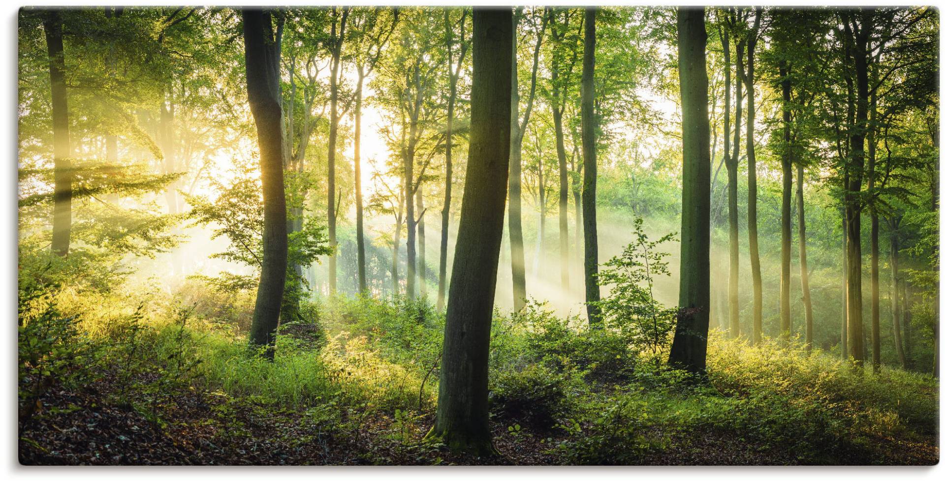 Artland Wandbild »Herbst im Wald II«, Waldbilder, (1 St.), als Alubild, Outdoorbild, Leinwandbild, Poster, Wandaufkleber von Artland