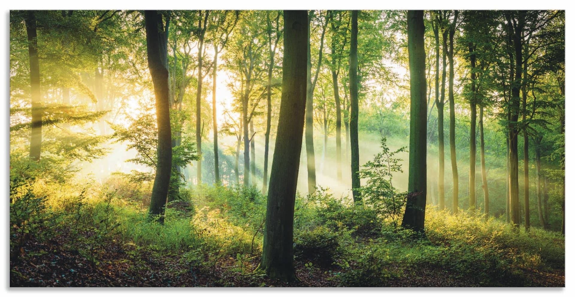Artland Wandbild »Herbst im Wald II«, Waldbilder, (1 St.) von Artland