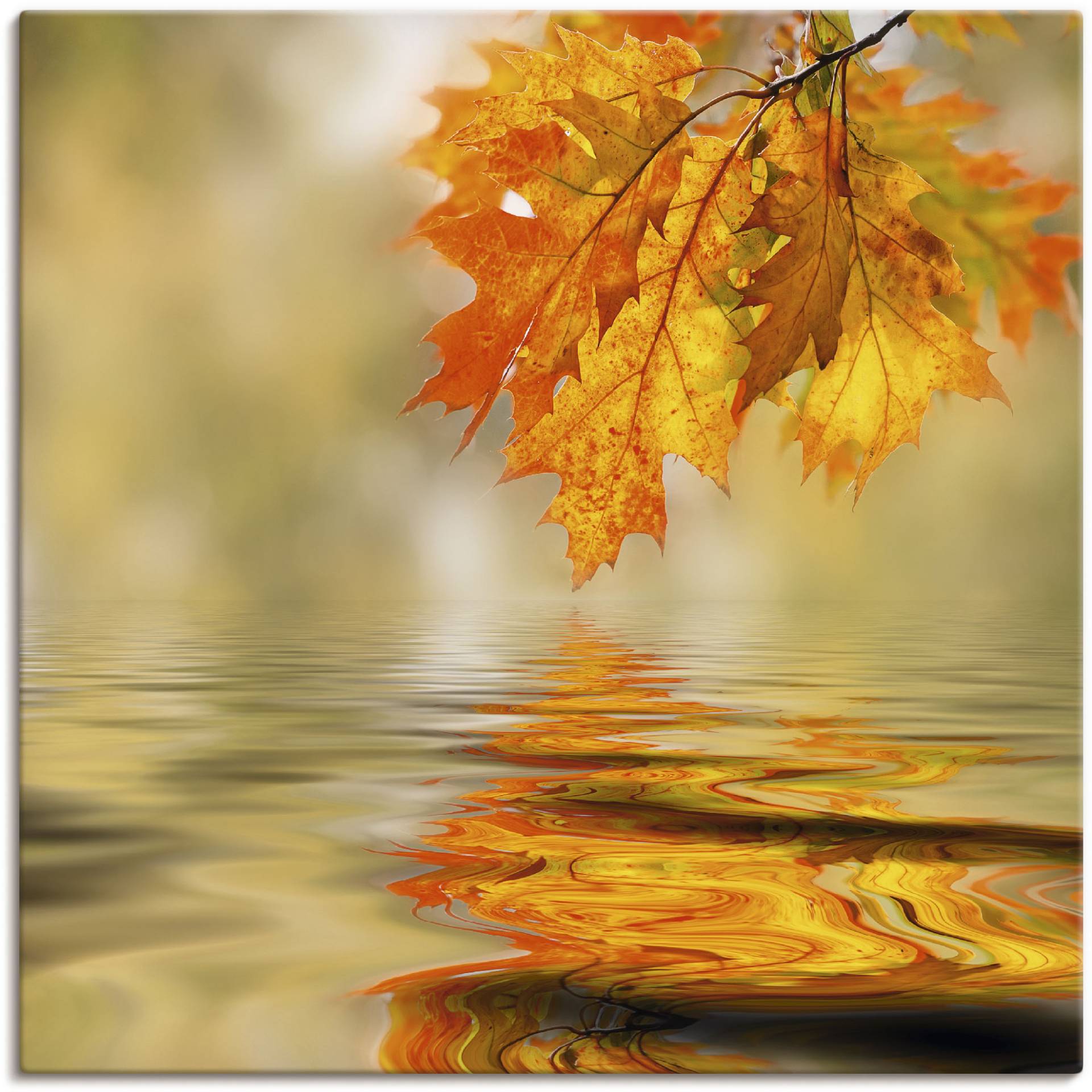 Artland Wandbild »Herbstblatt«, Blätter, (1 St.), als Alubild, Outdoorbild, Leinwandbild, Wandaufkleber, versch. Grössen Artland Wandbild »Herbstblatt«, Blätter, (1 St.), als Alubild, Outdoorbild, Leinwandbild, Wandaufkleber, versch. Grössen von Artland